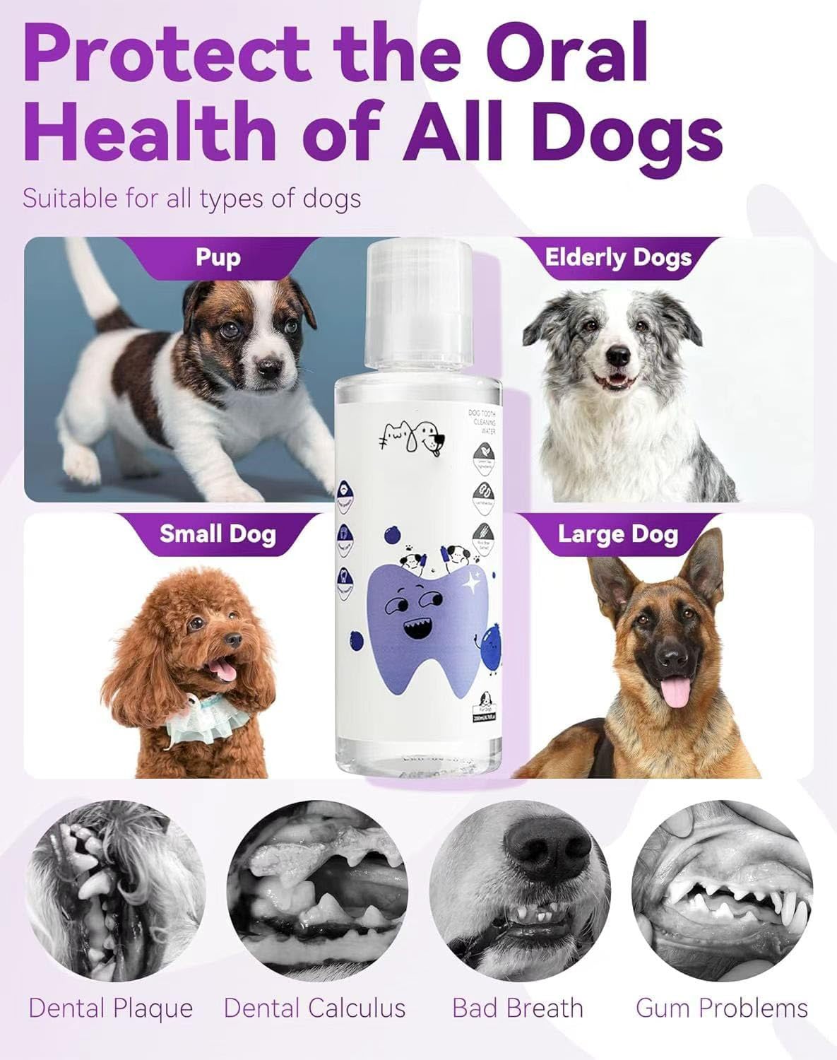 LEWELLRY easy daily use cap indicates simple, consistent dosing.