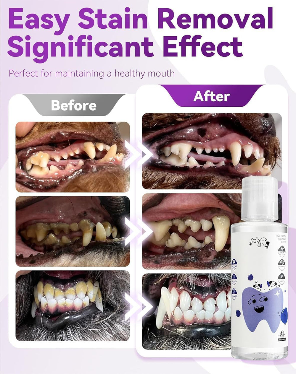 LEWELLRY fresh breath visual suggests pet mouth freshness after use.