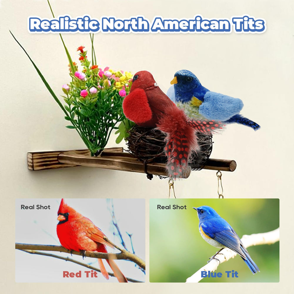 LEWISER chirping tit red blue set at play-ready stage encouraging sways and chase.