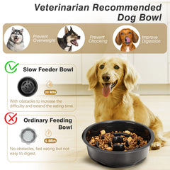 Lewondr 1000ml food bowl provides ample daily meal capacity.