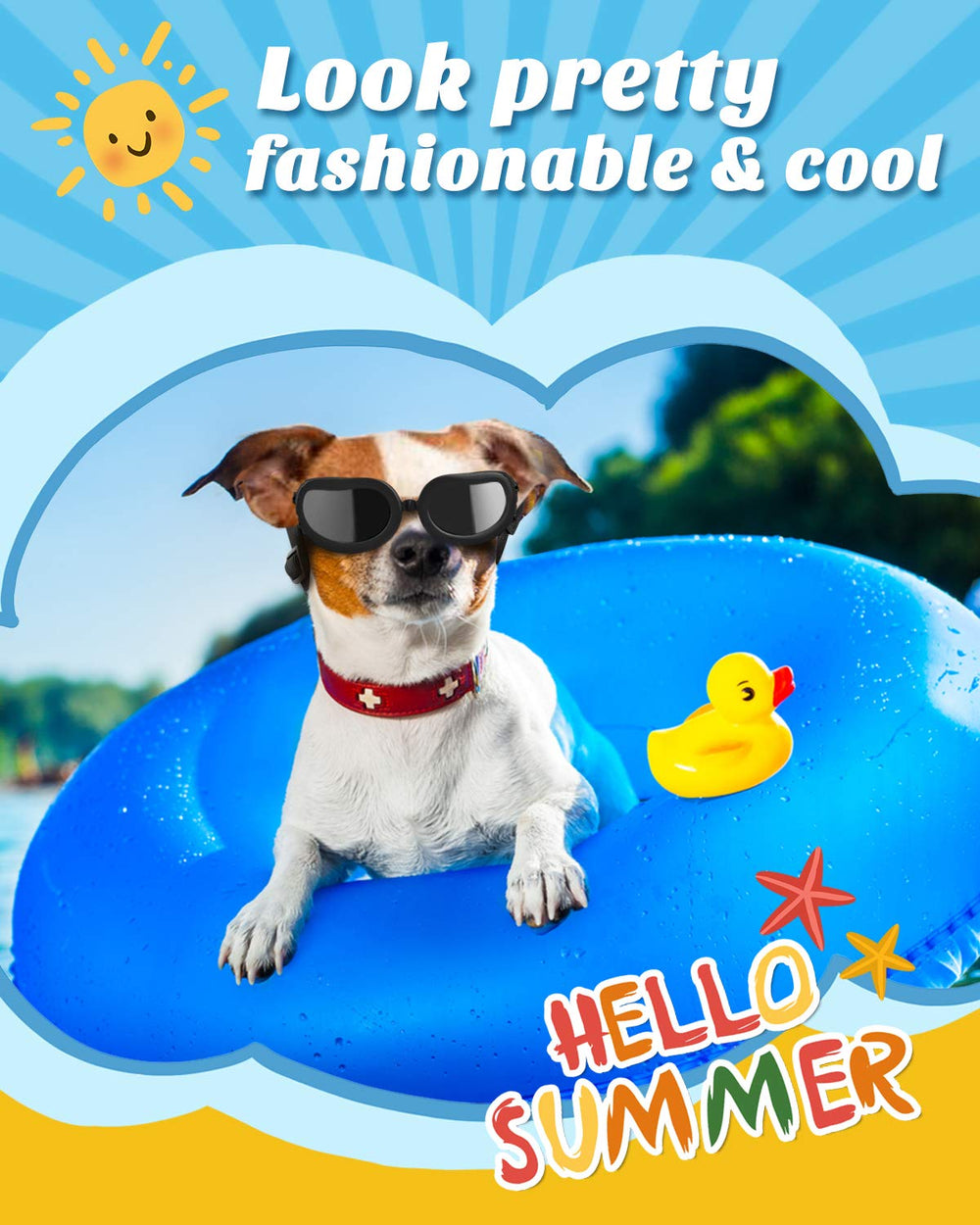 Lewondr daily-wear dog sunglasses ideal for photos