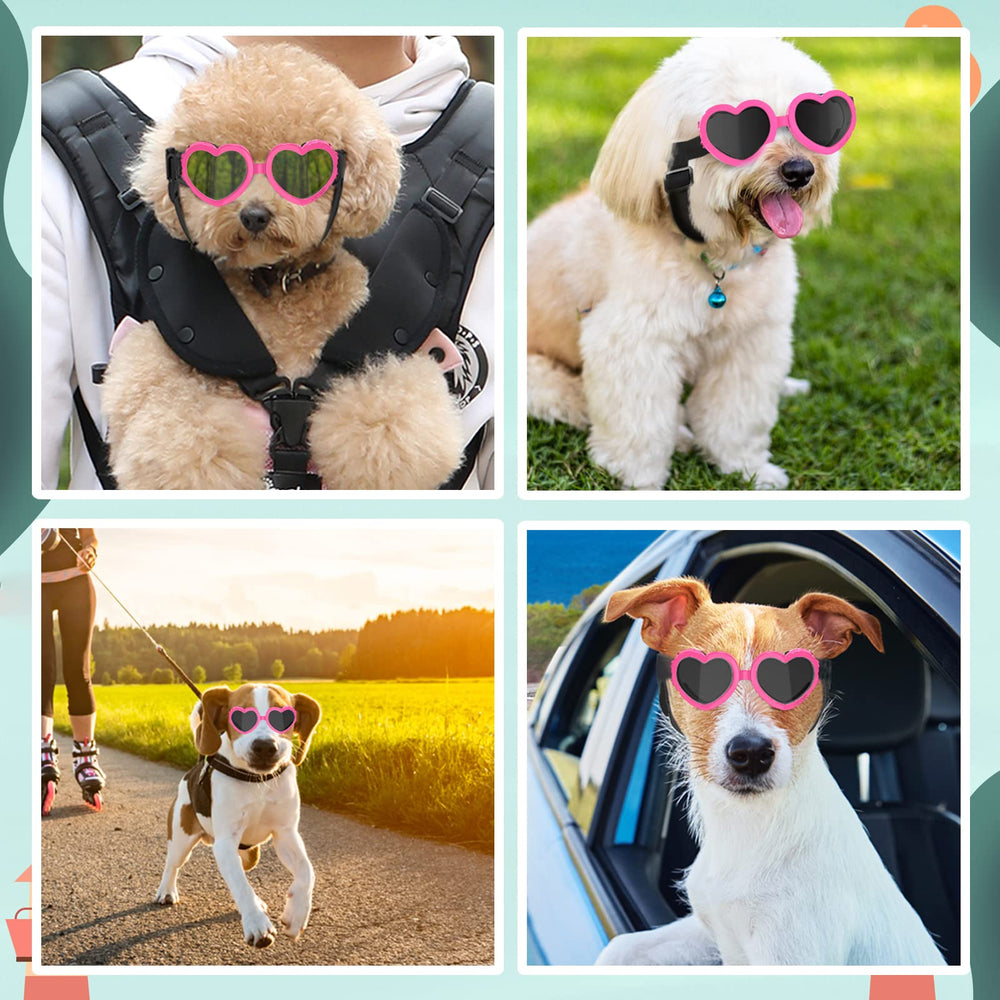 Lewondr fashionable-dog-eyewear boosts your pup's photo-ready look at events.