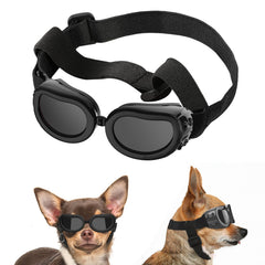 Lewondr small-breed dog sunglasses with UV protection for sunny walks