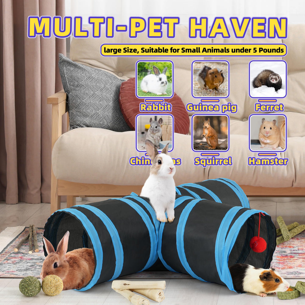LEXASTLE Gift-ready Packaging ideal for gifting pet lovers