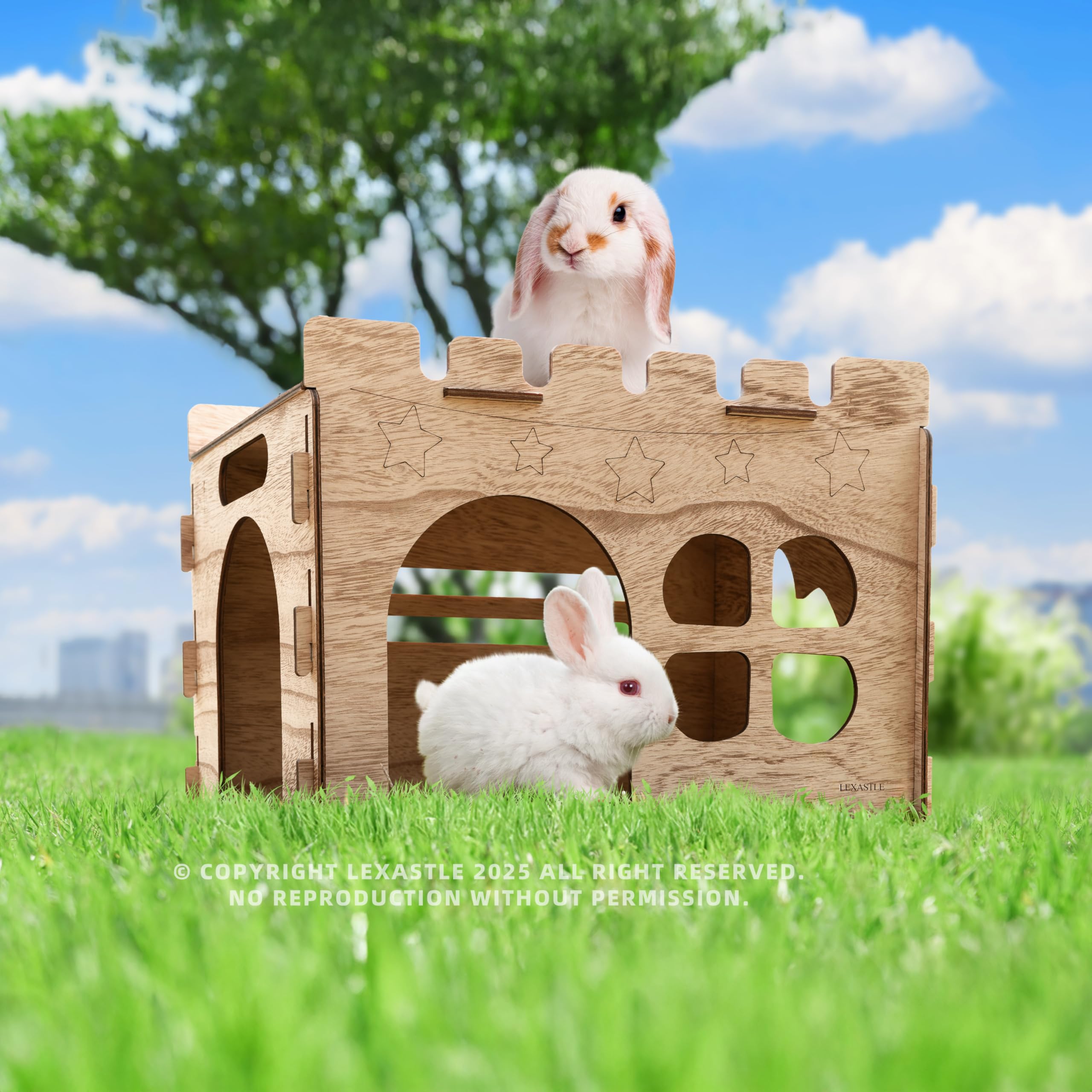 LEXASTLE Large hideout dimensions, ample space for bunnies and small pets