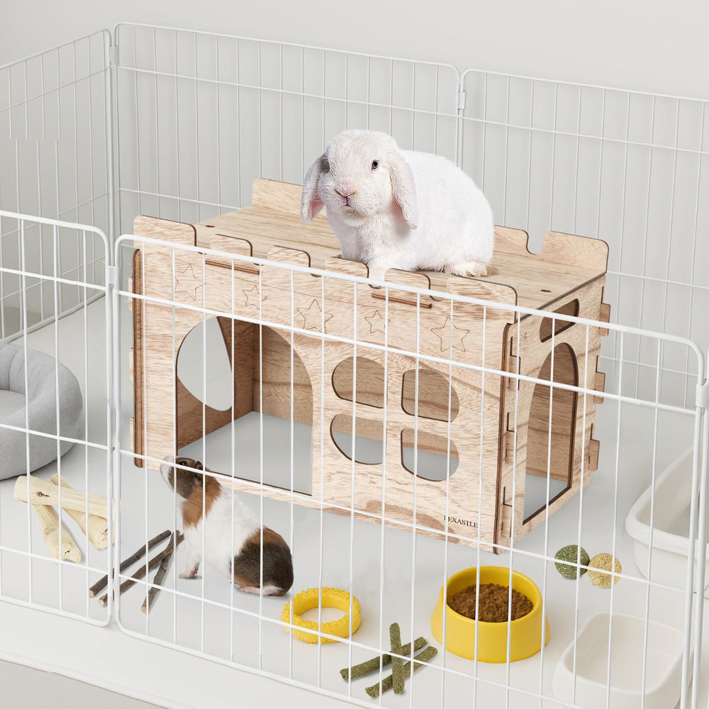 LEXASTLE Spacious pet habitat, ideal for rest, play, and social time