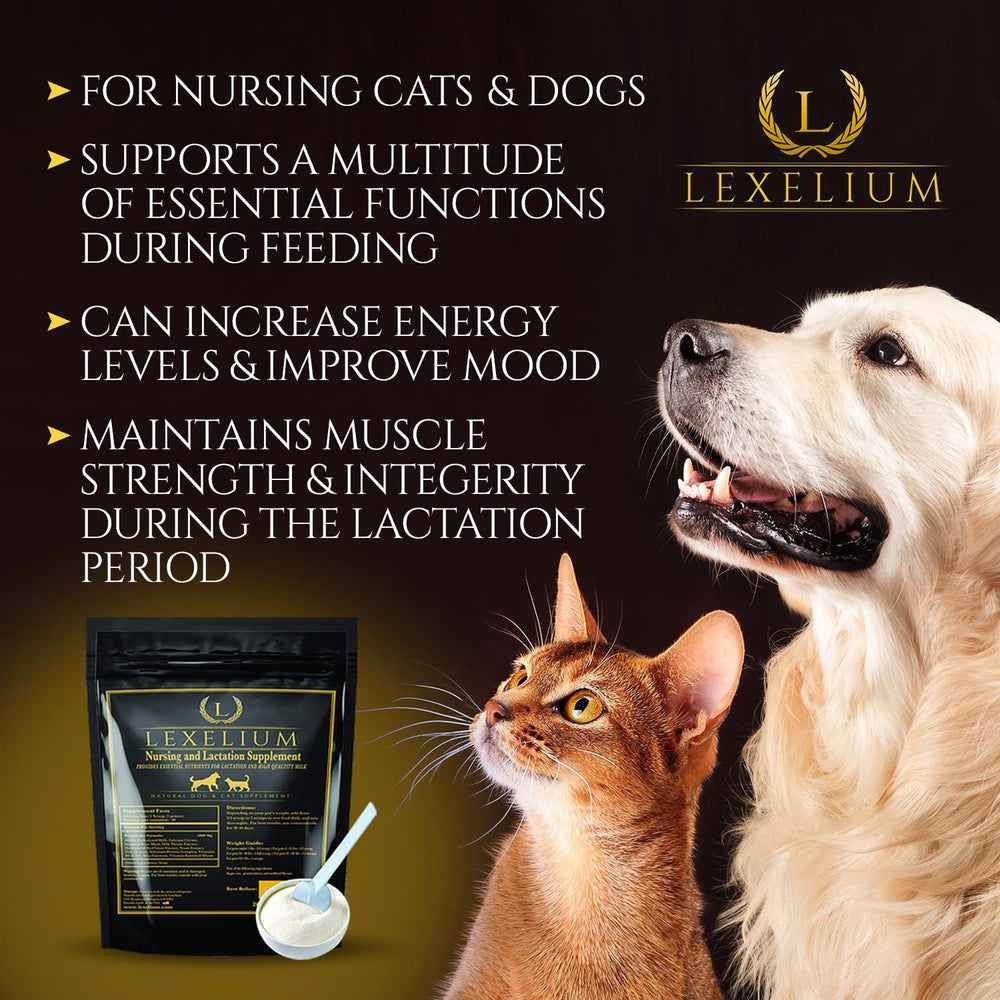 Lexelium nursing supplement newborn development aids puppies and kittens