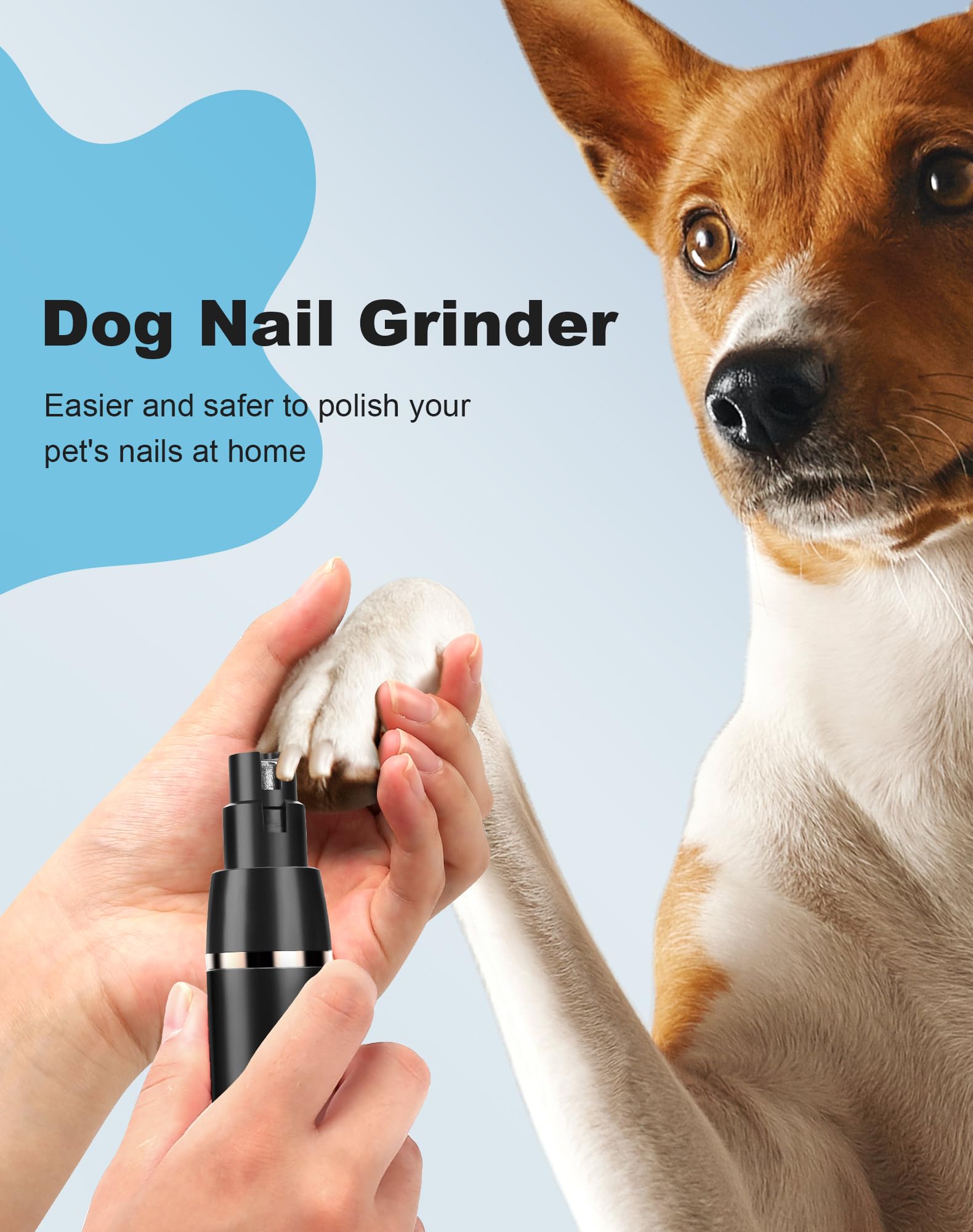 Lexflext pet grooming kit in use for a small dog at home.