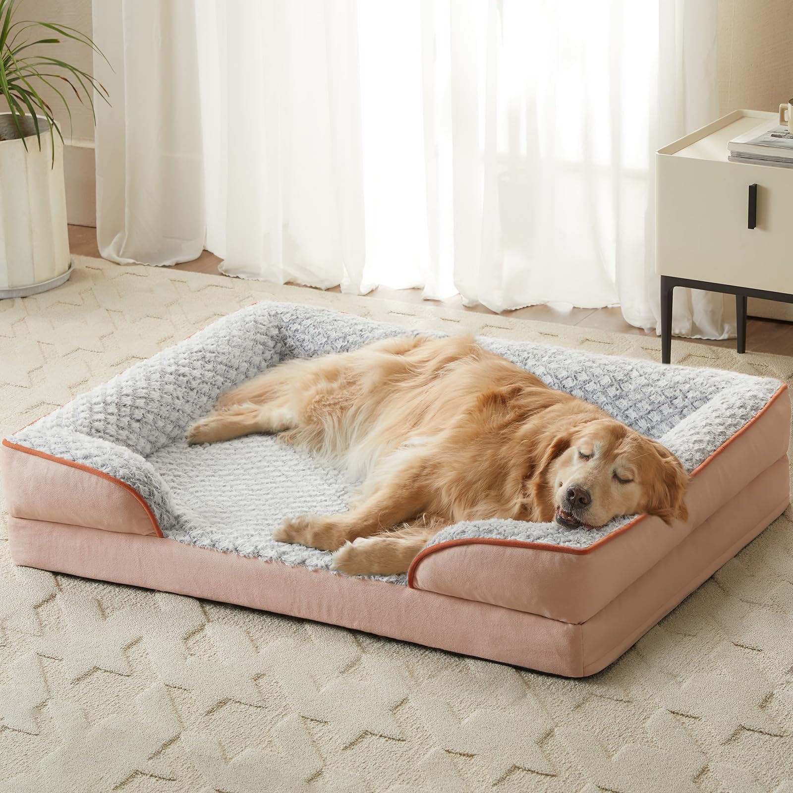LEXTRO large dog bed in use, offering ample space to stretch.