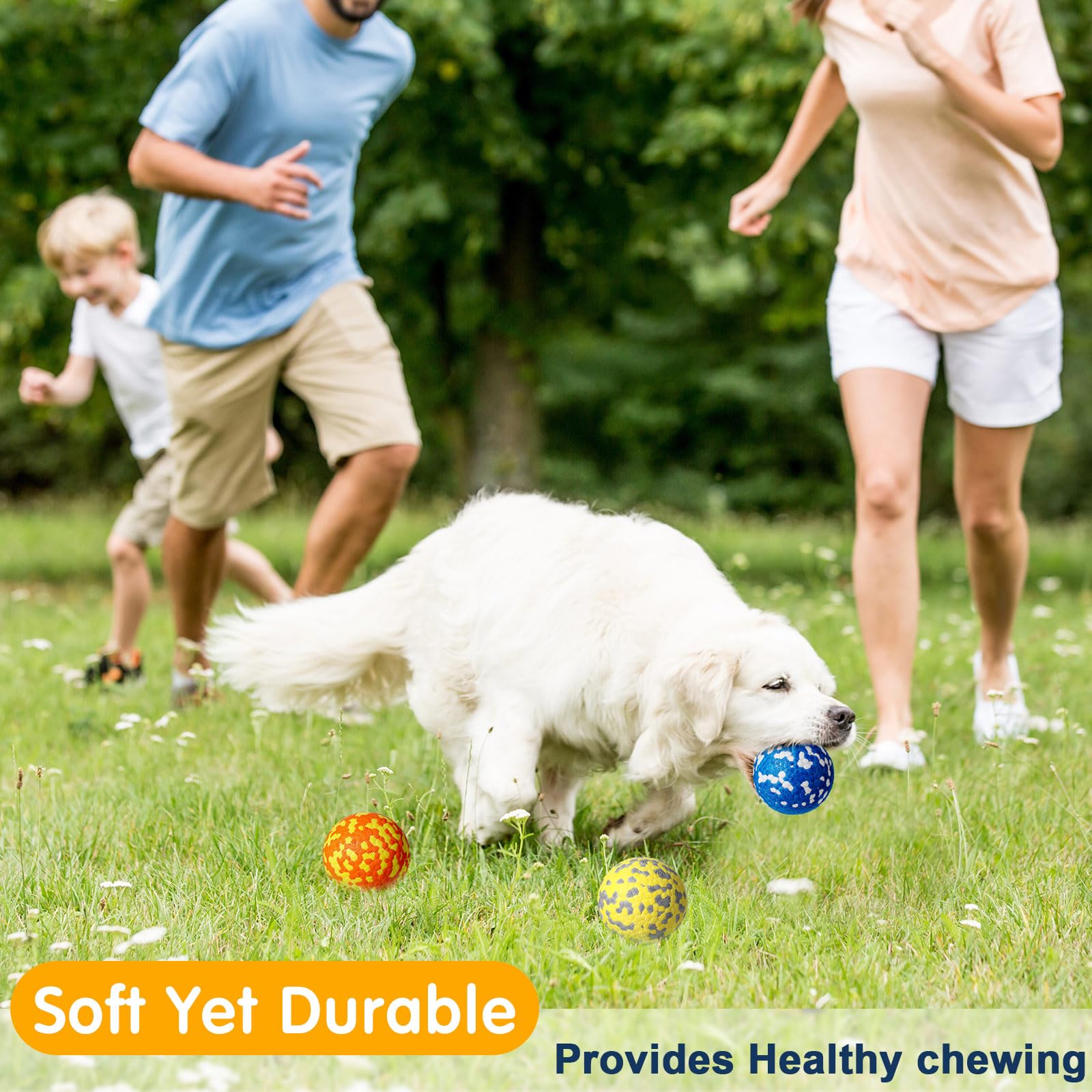 Leyndo 2.5in dog ball pack image showing ten balls in color set