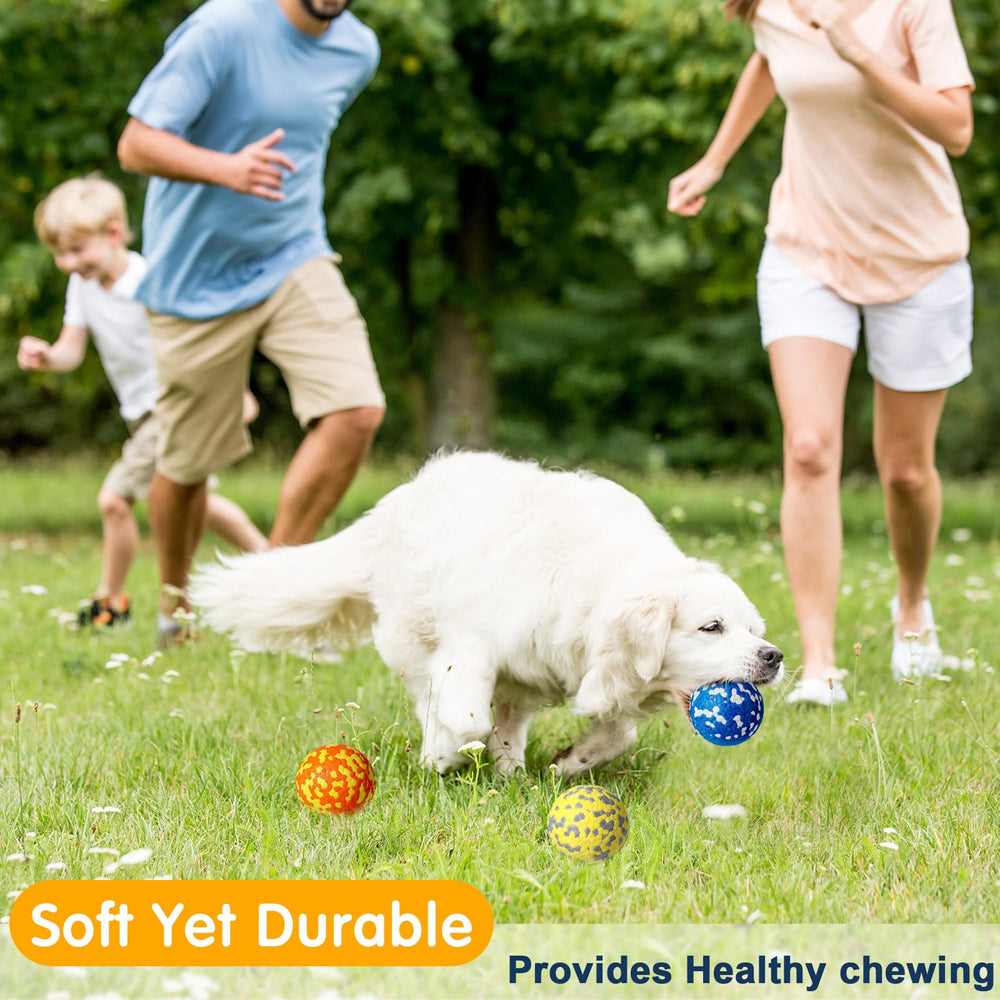 Leyndo 2.5in dog ball pack image showing ten balls in color set