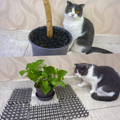 Ley's cat deterrent mat closeup shows harmless spikes deterring access without harm.