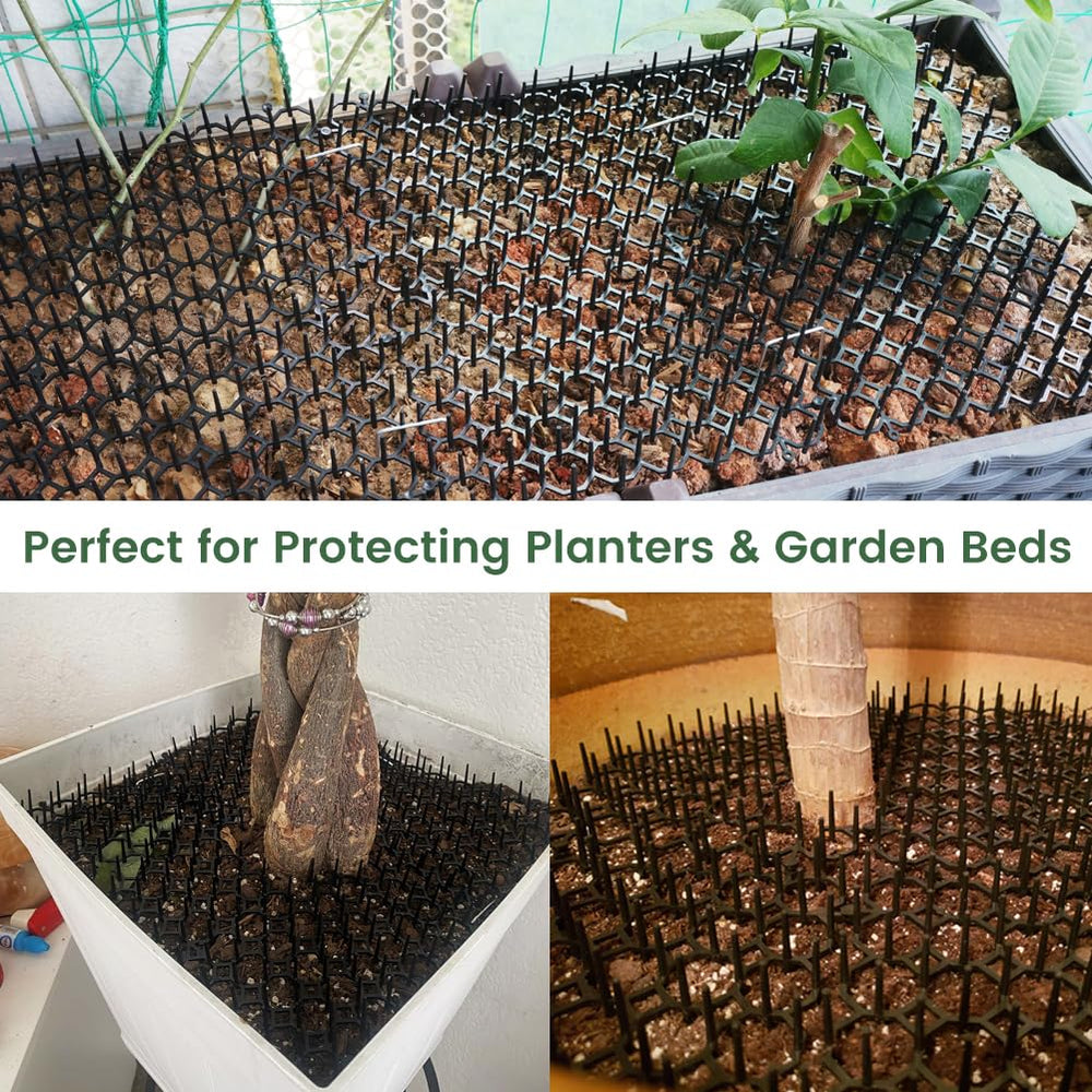 Ley's cat deterrent mat around plants keeps cats from digging in pots.