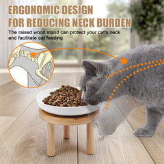 Lfpkixise whisker-friendly bowls prevent whisker fatigue during meals.