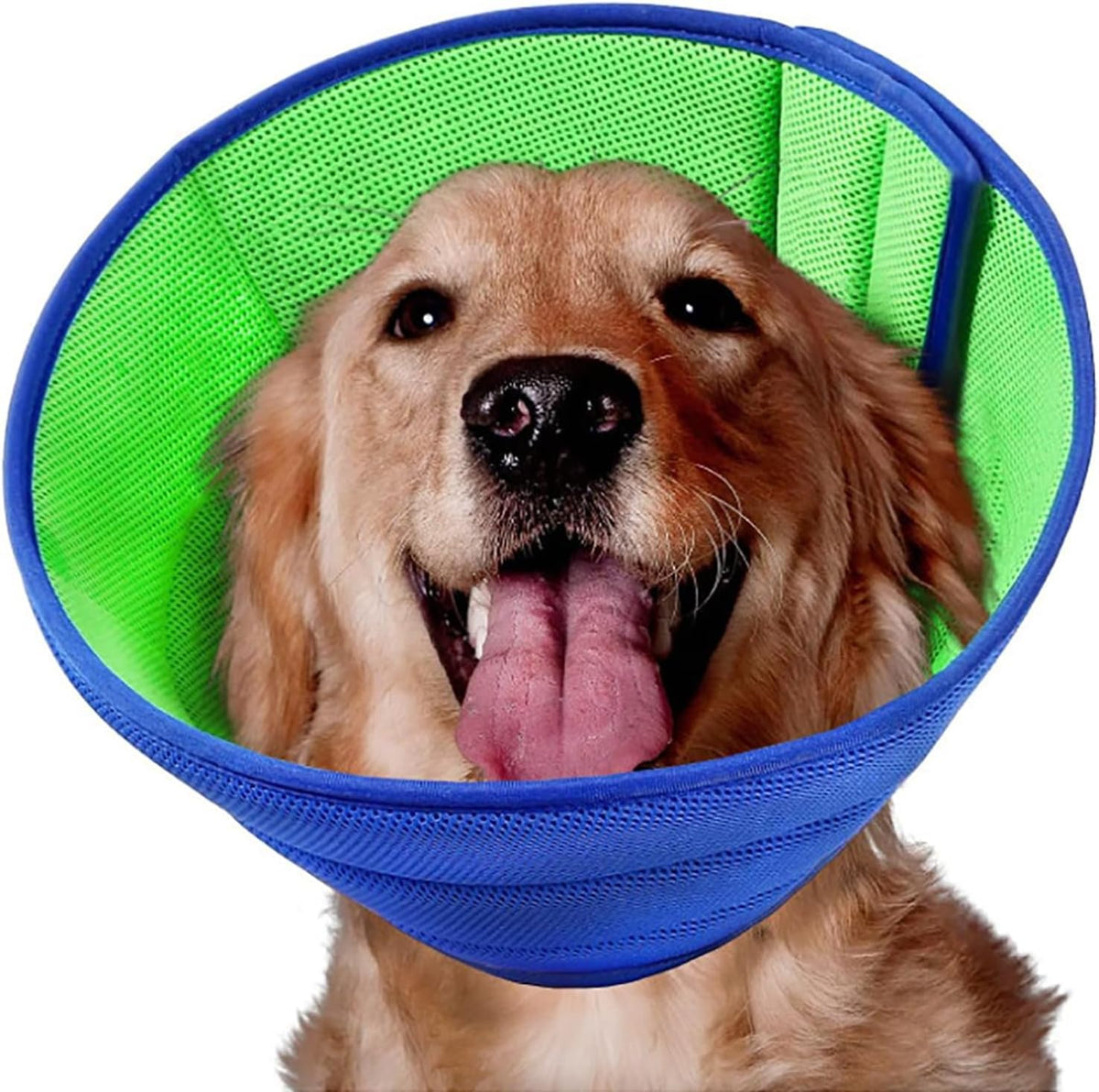 LH NTGR soft dog cone blue, front view, protects wounds while keeping dog comfortable.
