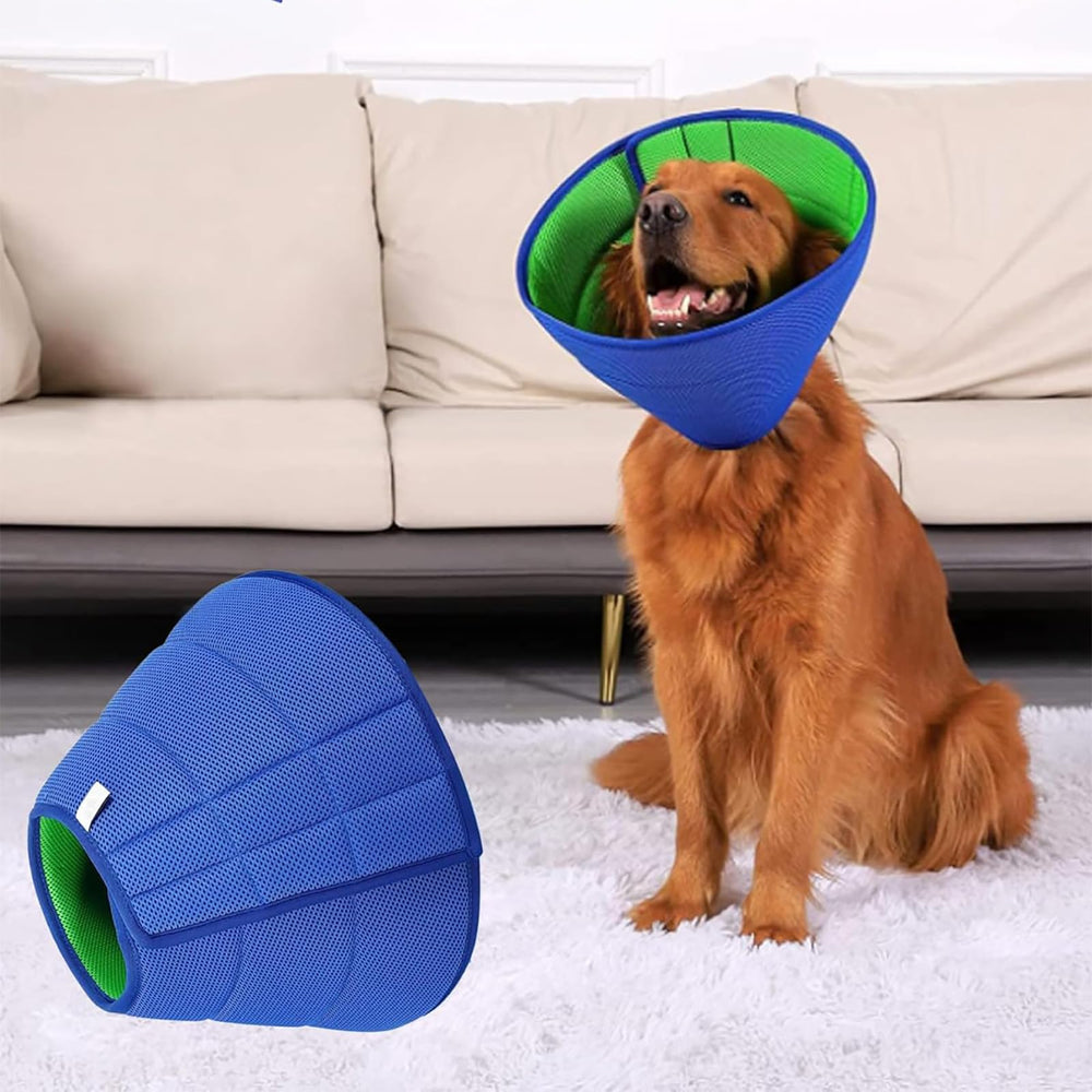LH NTGR cone blue in use, helps prevent licking and scratching.