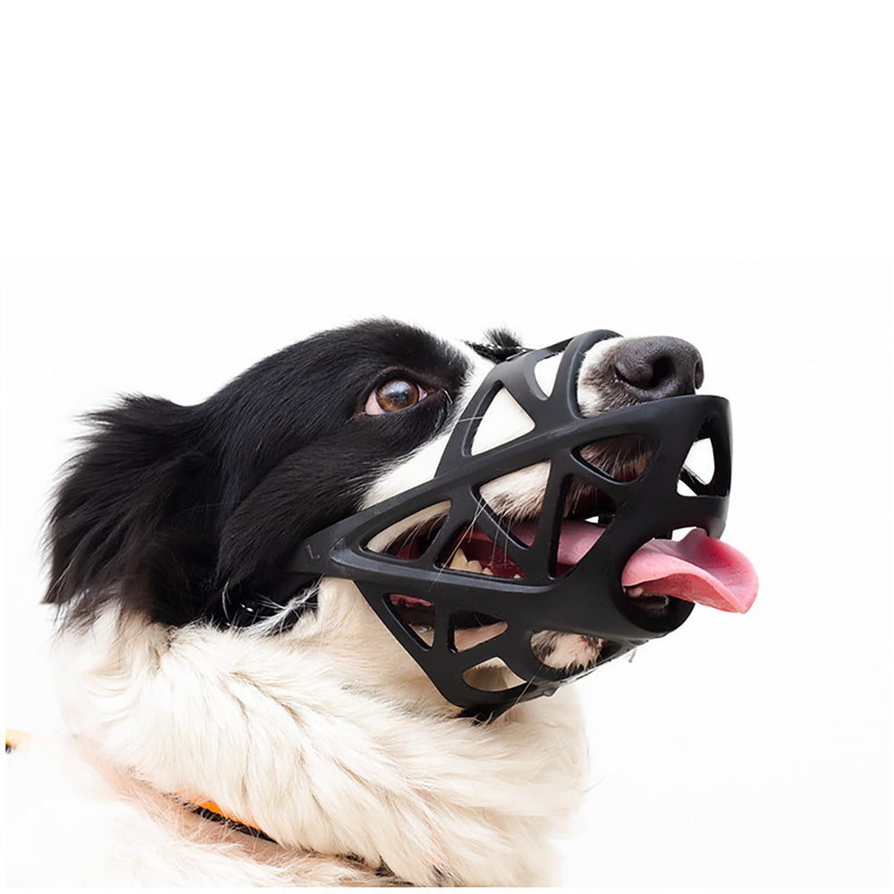 LH NTGR dog muzzle closeup basket showing full-mouth protection and ventilation