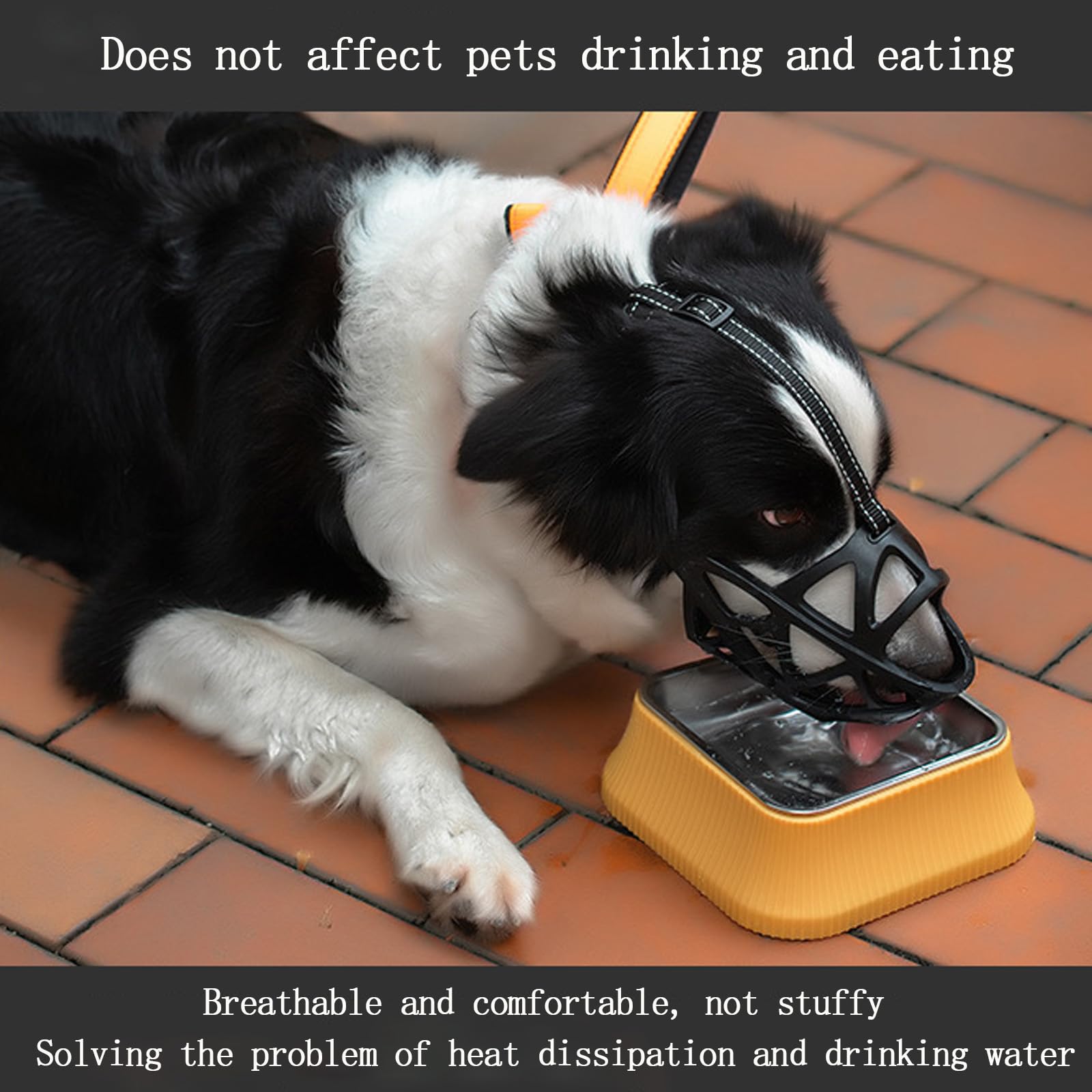 LH NTGR muzzle ideal for travel, grooming, vet visits and public transport