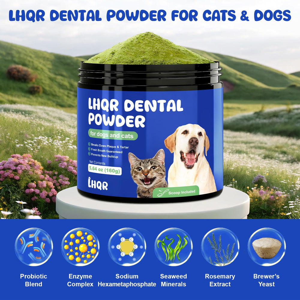LHQR dental powder ingredients scene shows enzyme and probiotic blend at work