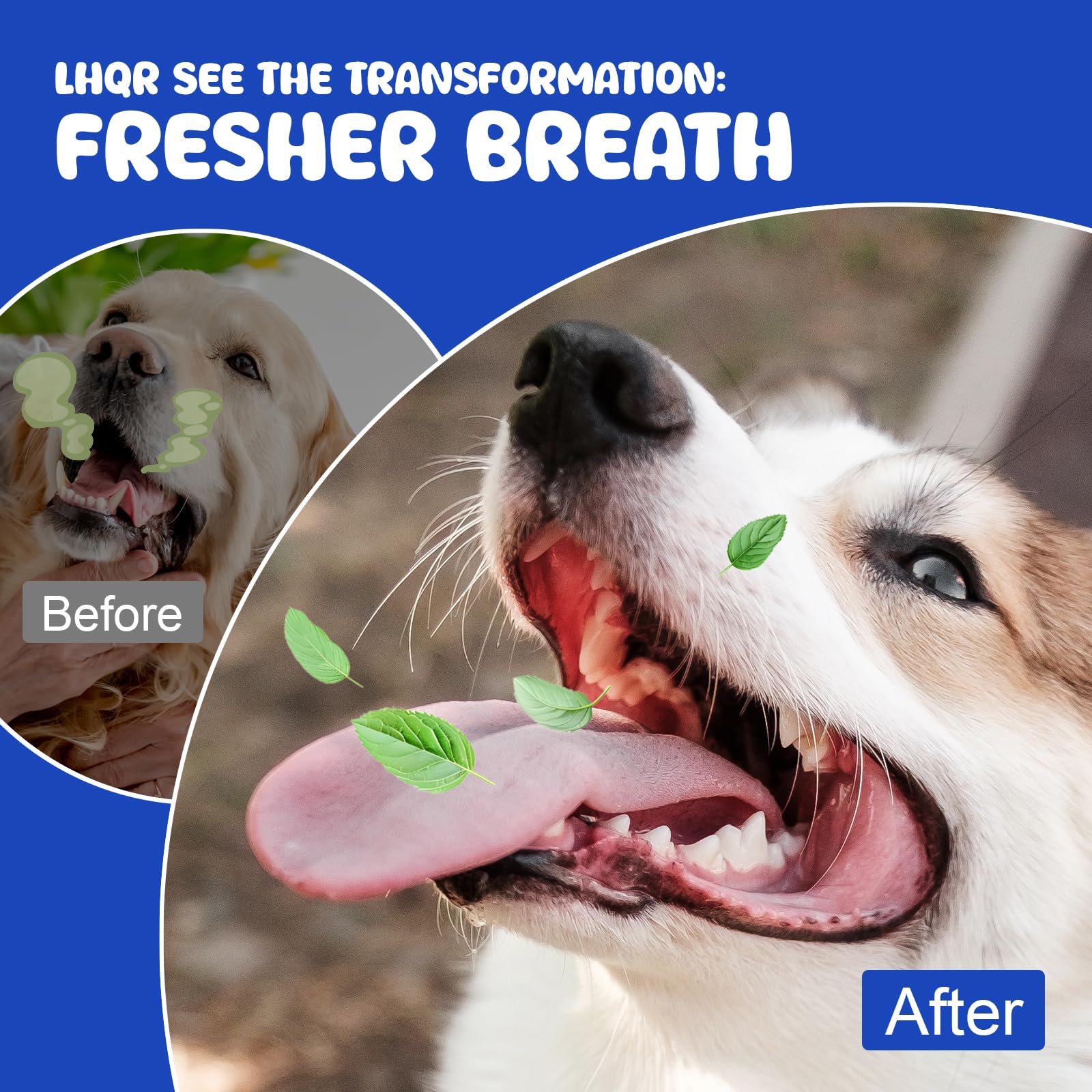 LHQR dog dental powder daily-use image hints at gentle yet effective oral care
