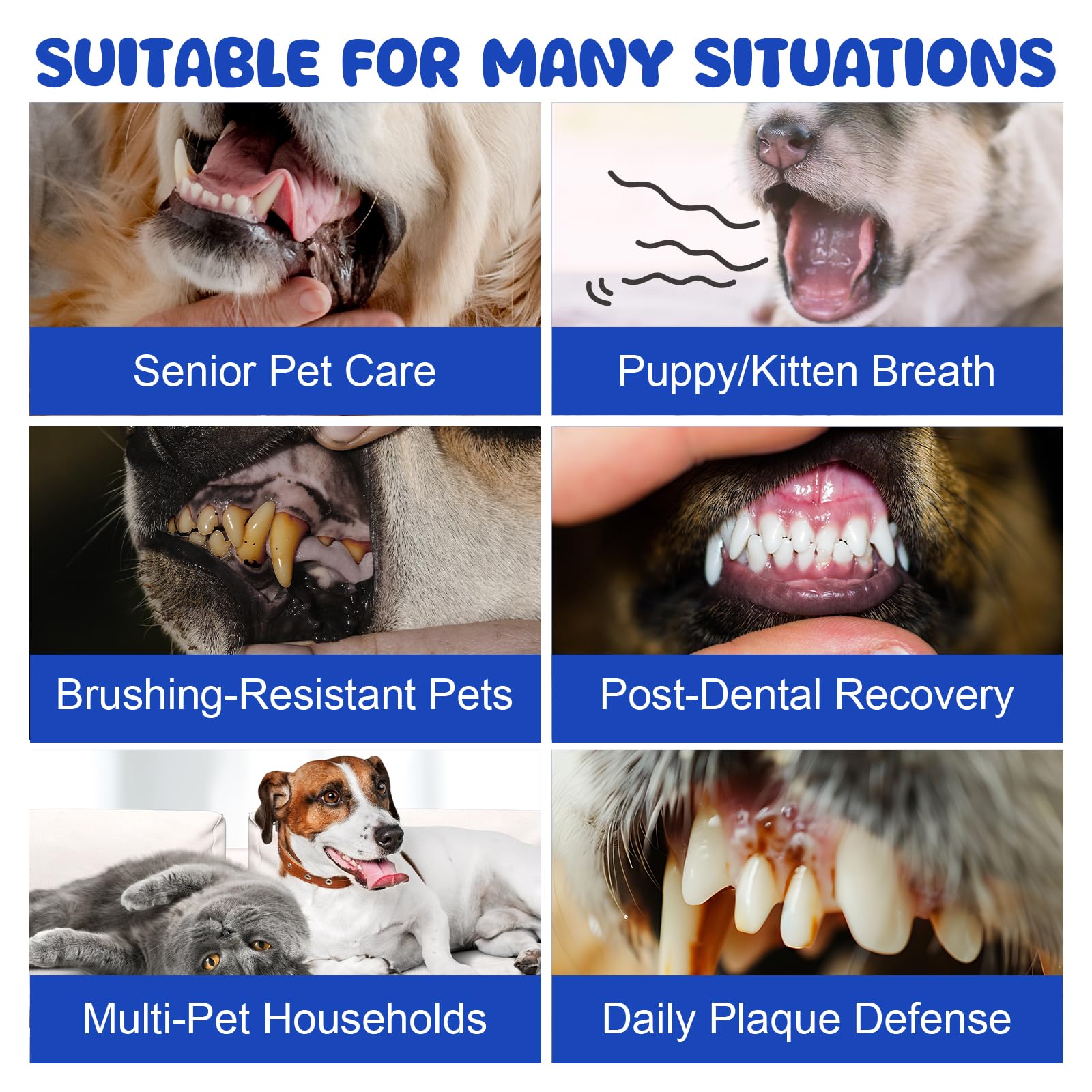 LHQR dog dental powder pack highlights two months supply for ongoing care