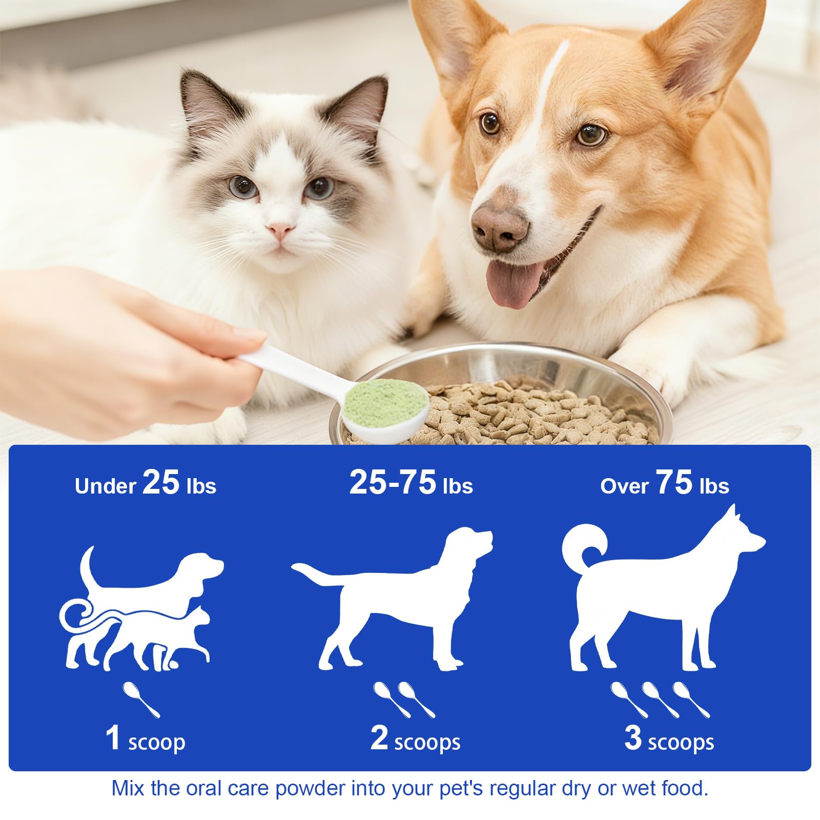 LHQR dog dental powder tub front indicates premium packaging and care