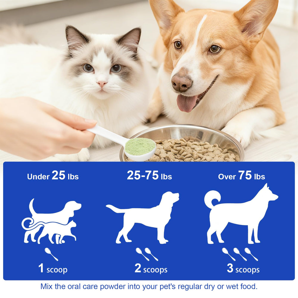 LHQR dog dental powder tub front indicates premium packaging and care