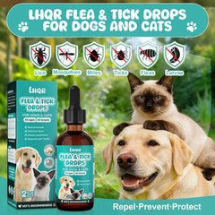 LHQR flea-tick-drops dropper demonstrates simple dosing for dogs and cats.