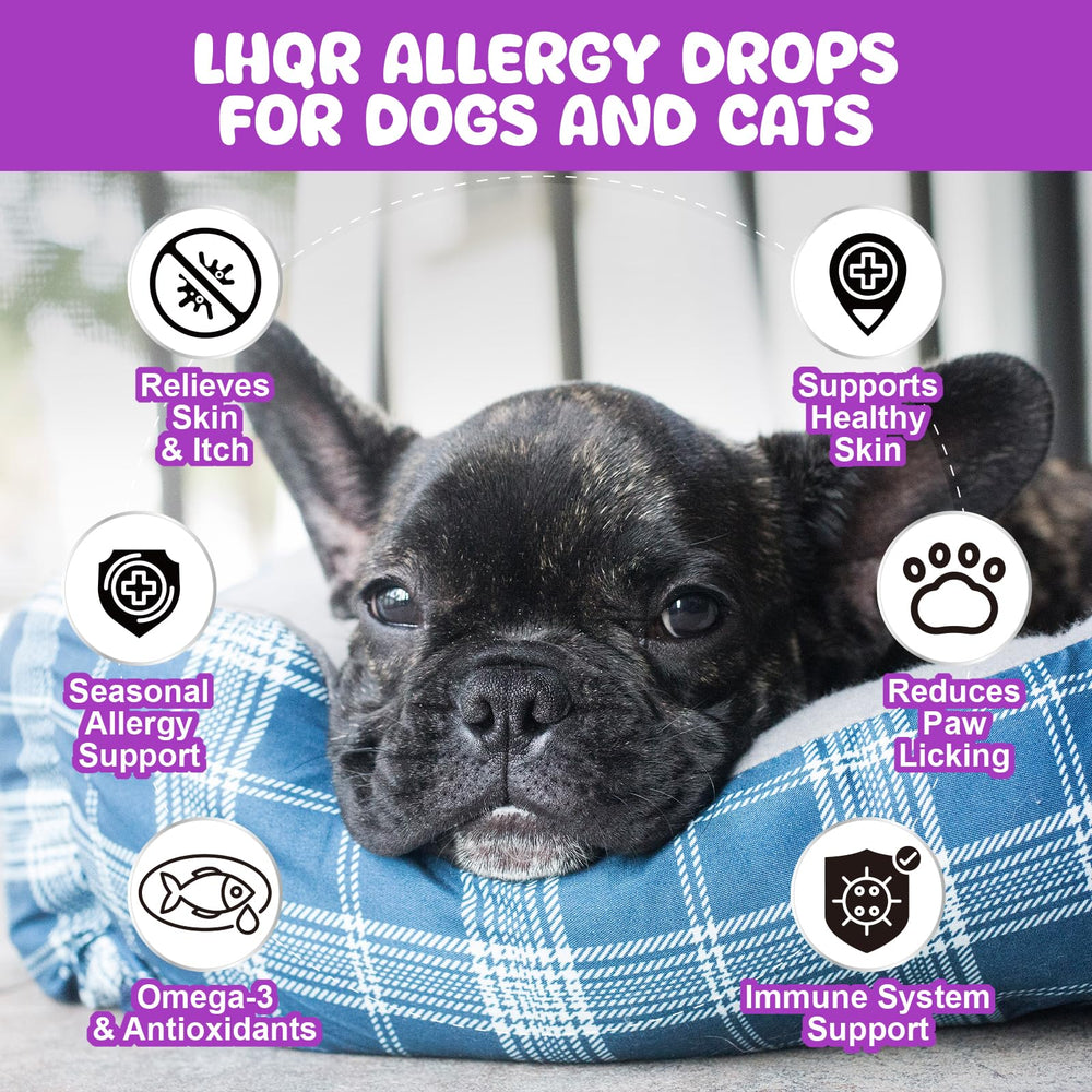 LHQR Liquid Allergy Drops bottle applied to a paw for itch relief
