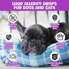 LHQR Liquid Allergy Drops bottle applied to a paw for itch relief