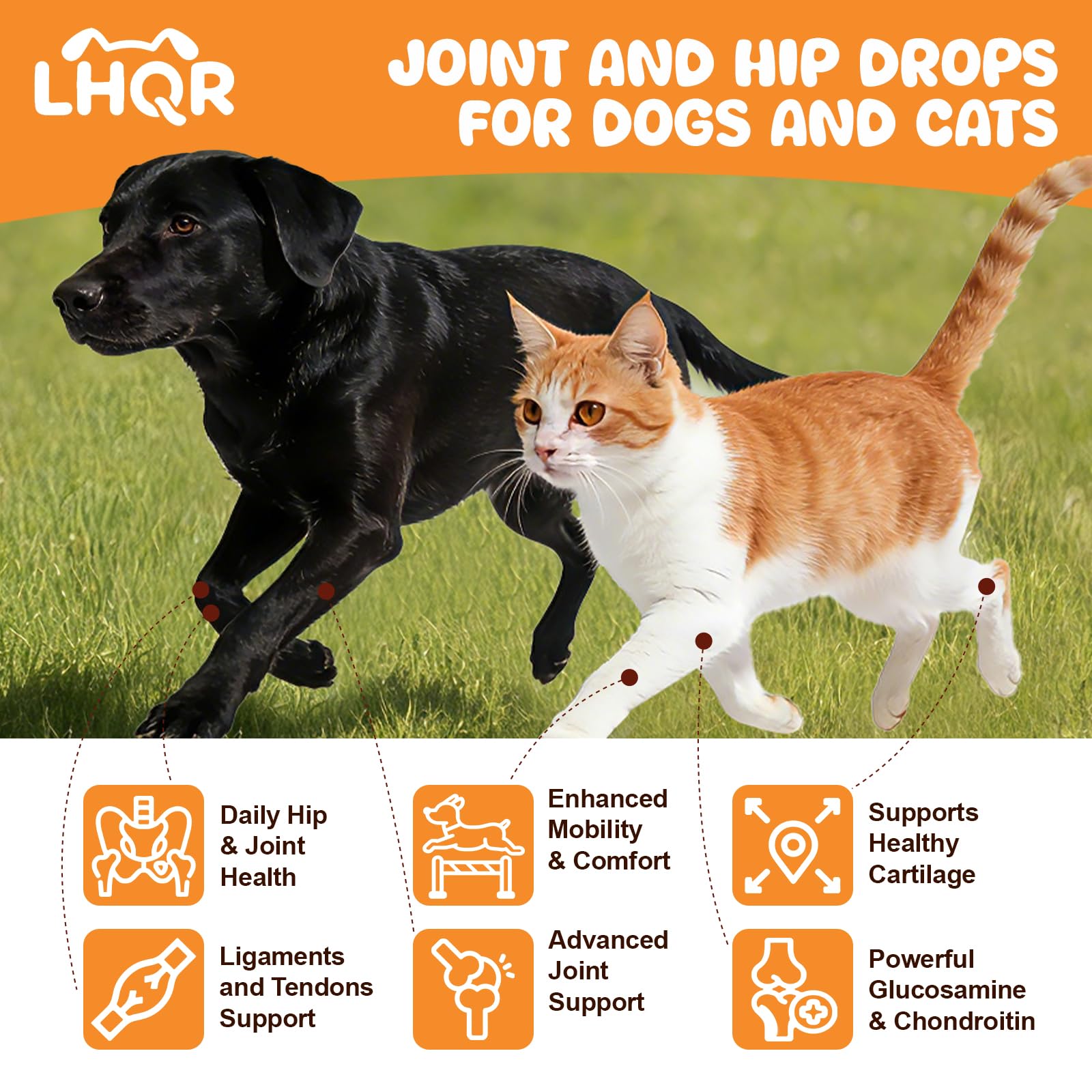 LHQR liquid glucosamine for cats drops bottle demonstrating easy mobility support