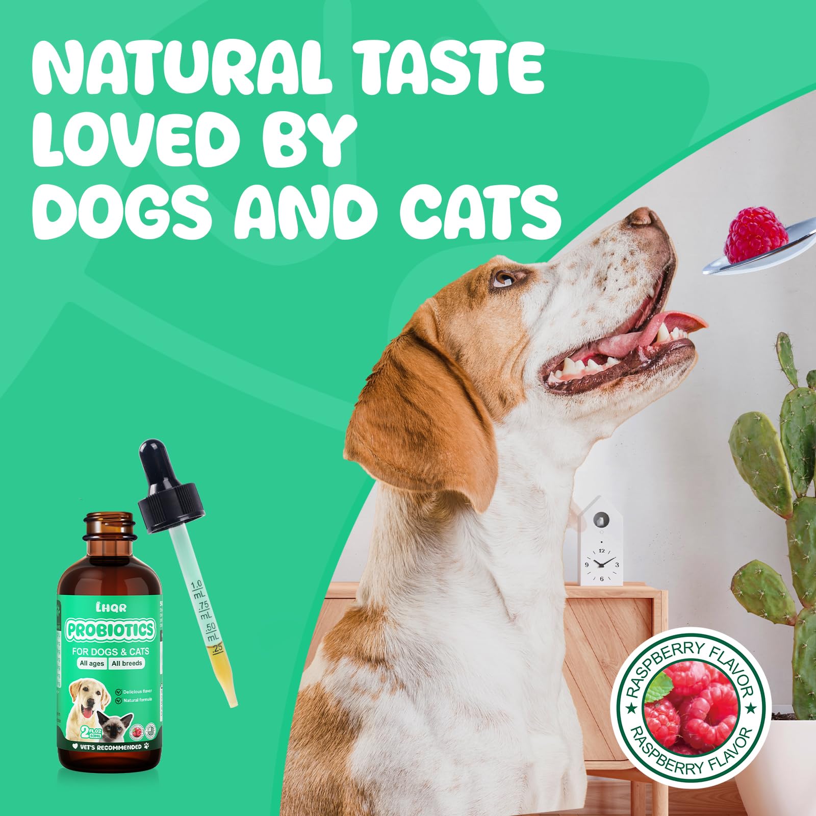 LHQR Liquid Probiotics gut health scene hints at calmer tummies and shiny coats.