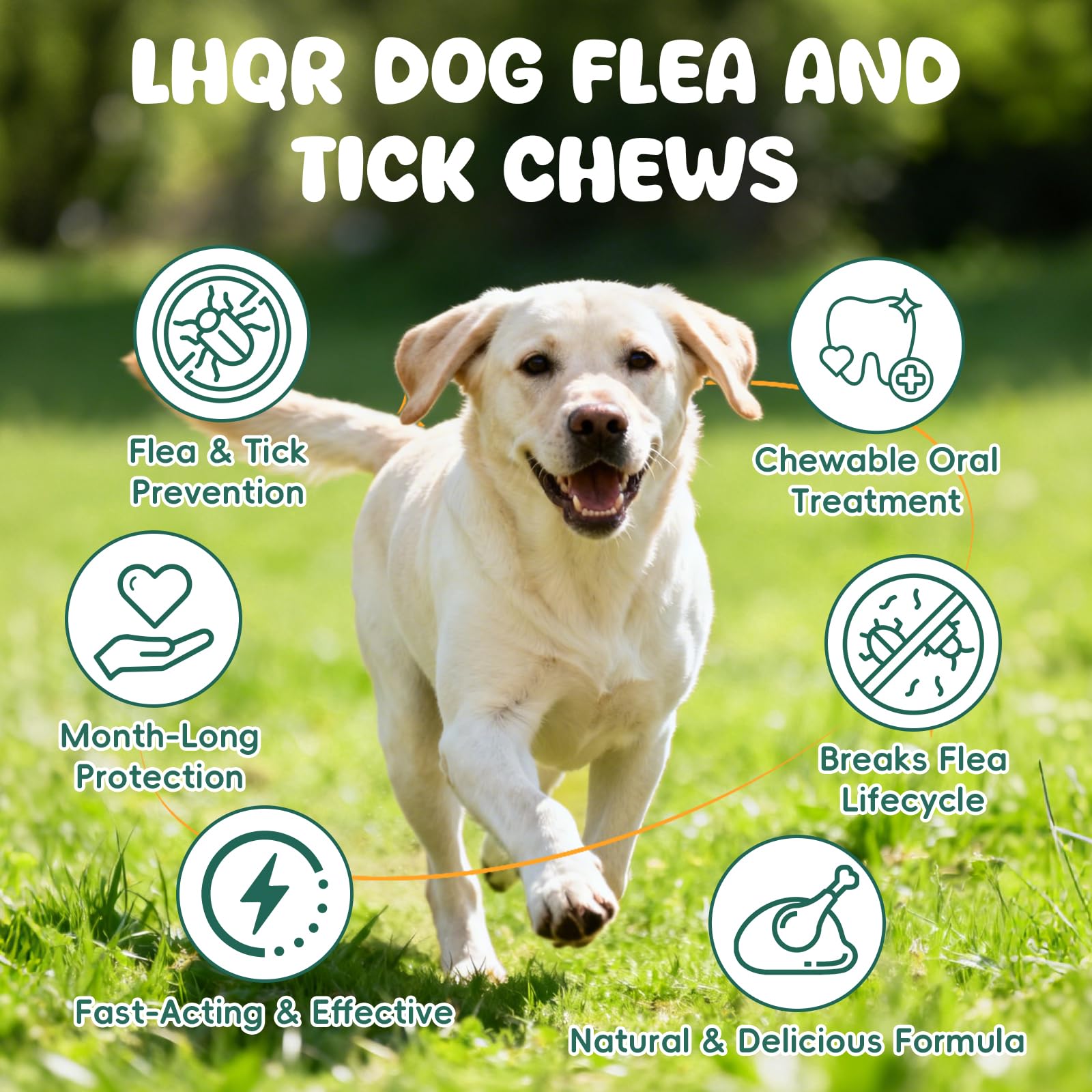 LHQR multivitamin-dog-chews promote digestion and coat condition