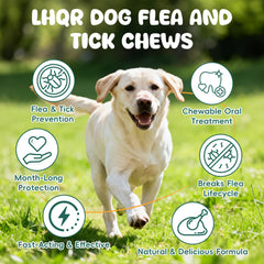 LHQR multivitamin-dog-chews promote digestion and coat condition