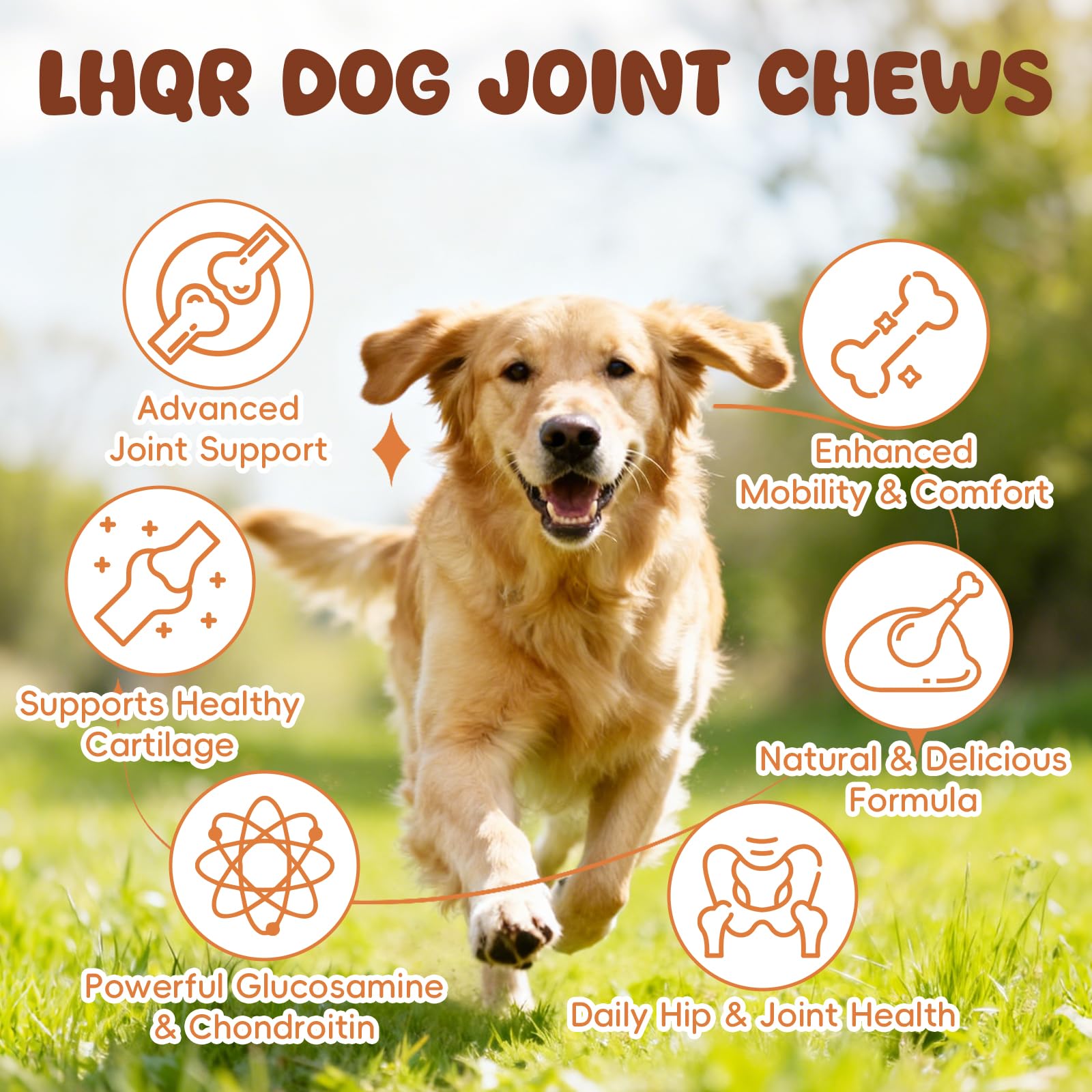 LHQR packaging shows glucosamine, chondroitin, MSM for comprehensive joint care.