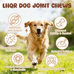 LHQR packaging shows glucosamine, chondroitin, MSM for comprehensive joint care.