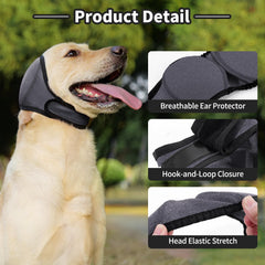 LIANZIMAU breathable hoodie keeps dogs cool and comfortable year-round.