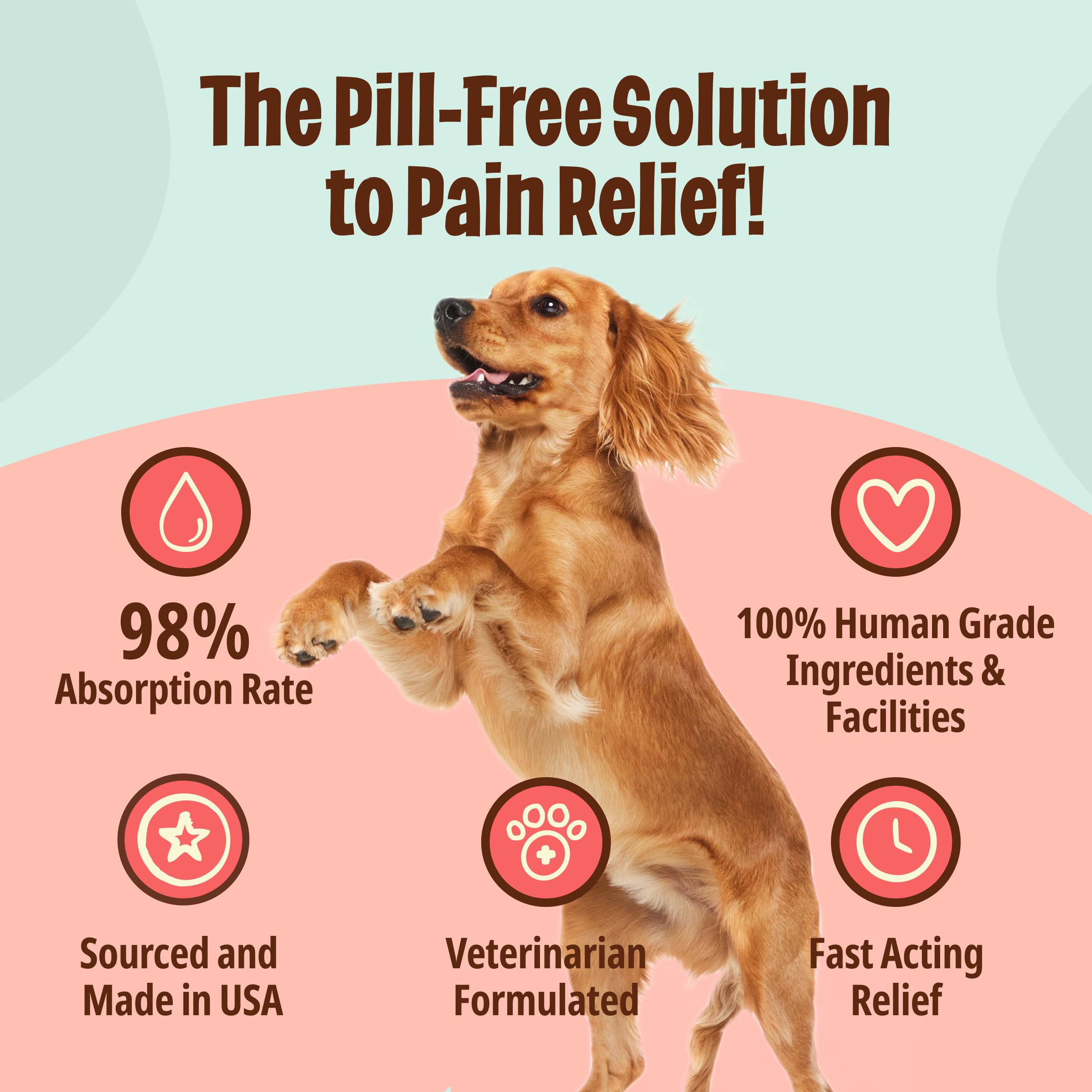 Licks Pill Free dog health supplies—reliable liquid support in a convenient gel format