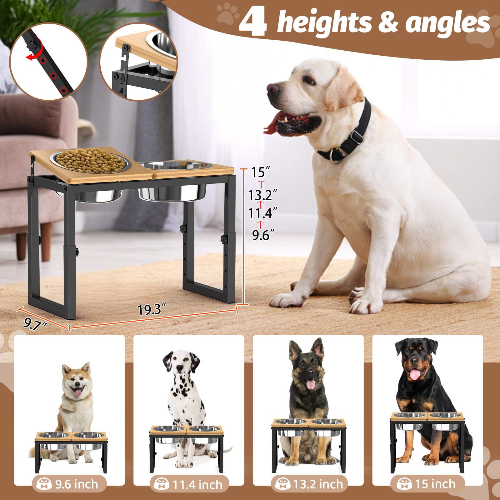 LIDTOP 4-height tilt stand demonstrates adjustable height and angle for growing dogs.