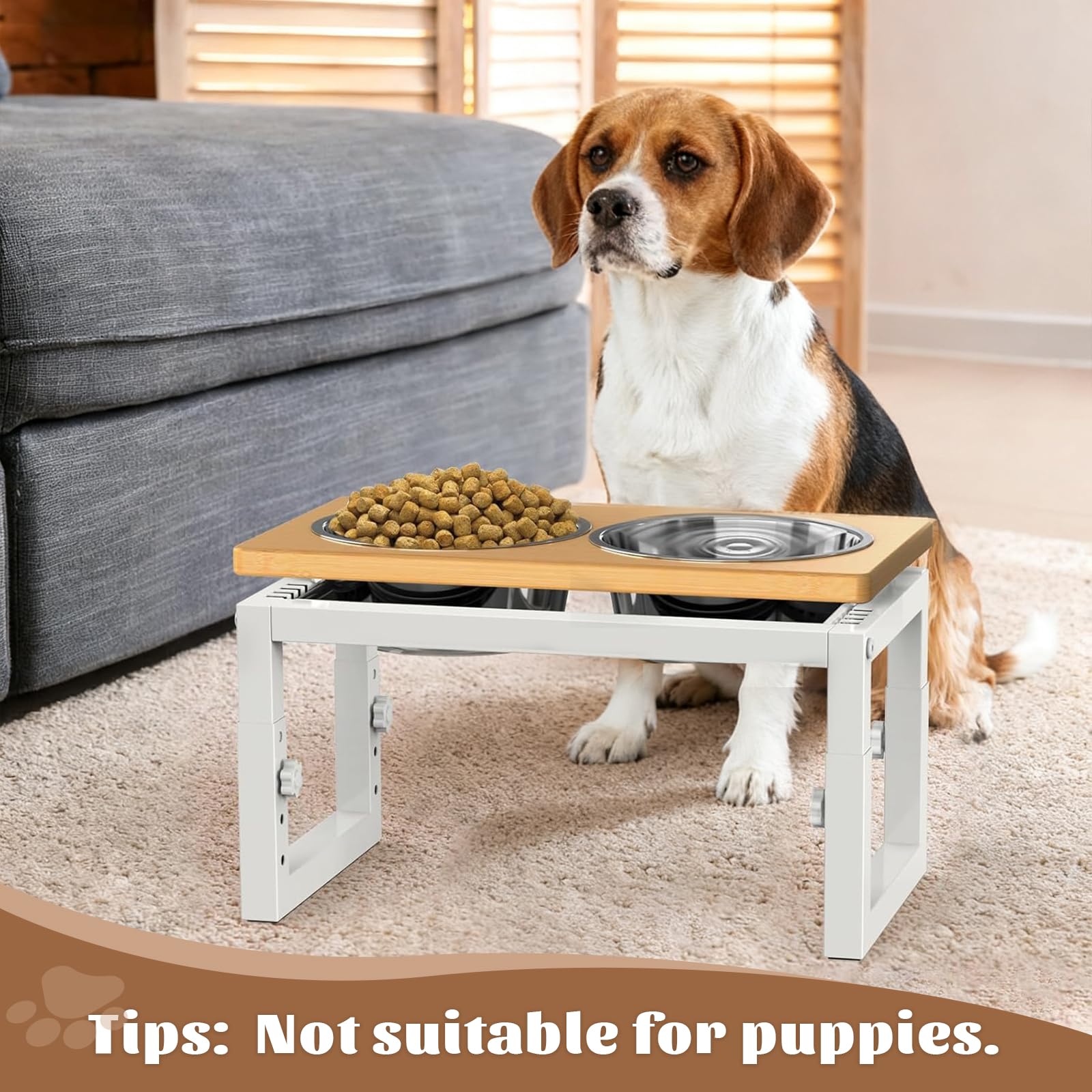 LIDTOP white-dog-bowl-stand in-use shows a clean, organized feeding setup.