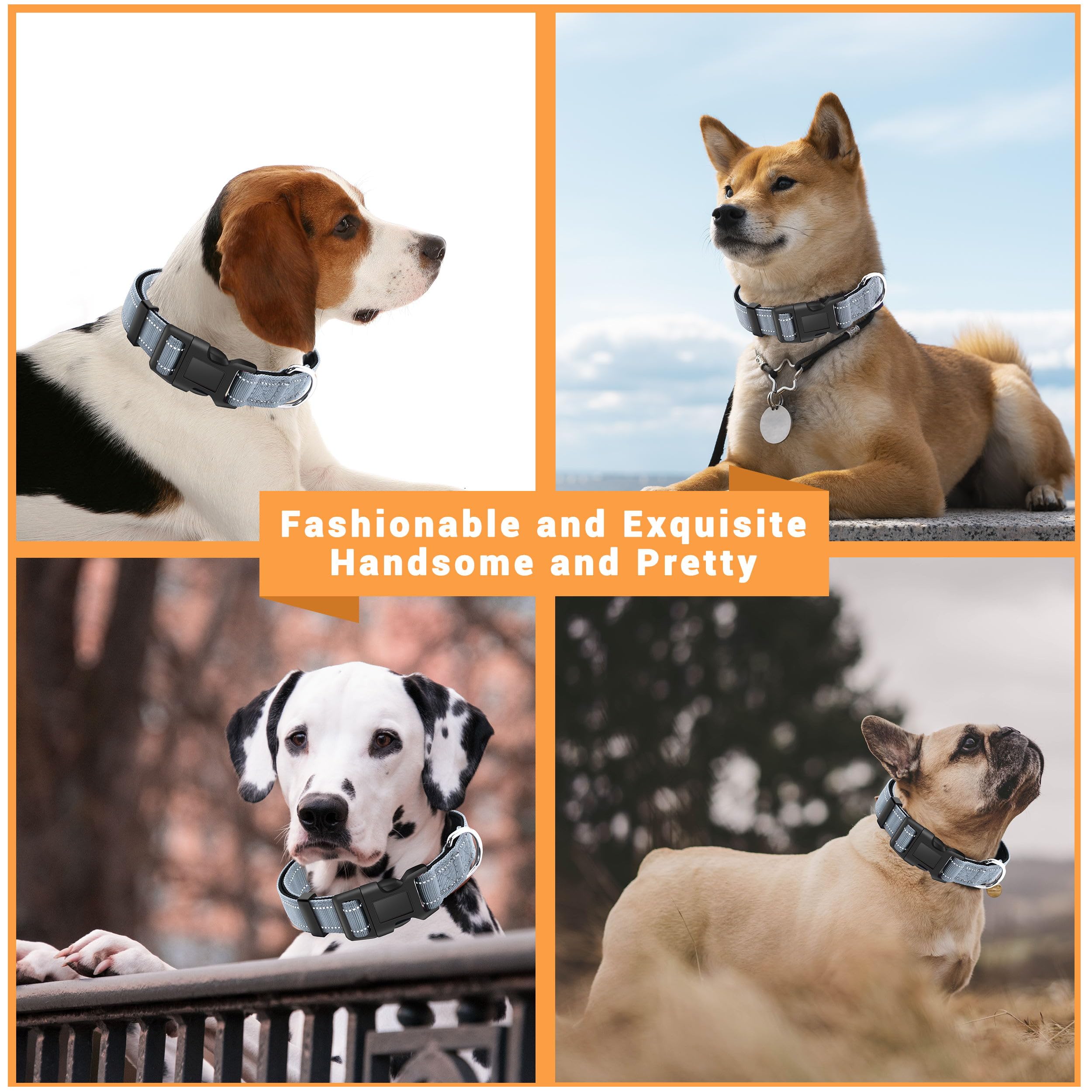 LIEVUIKEN gray collar worn by a dog, versatile for daily use.