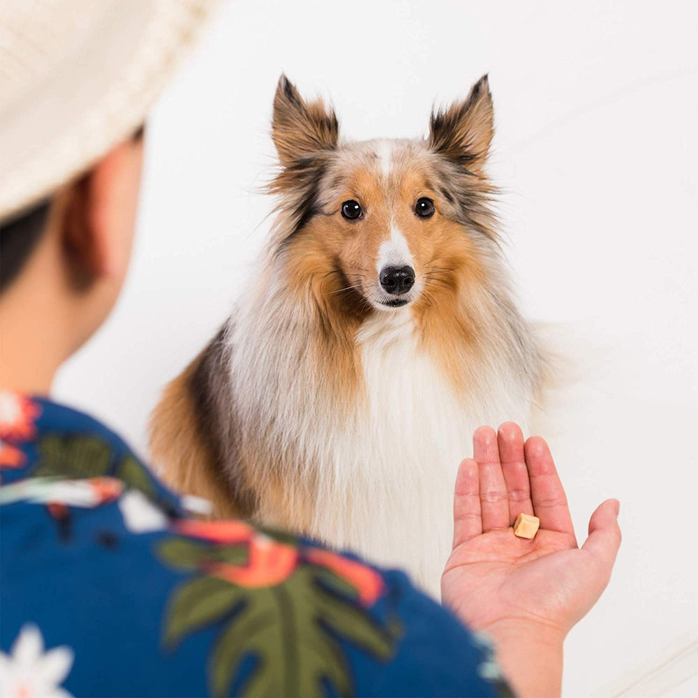 LIFE ESSENTIALS CAT-MAN-DOO training-snacks; ideal for positive reinforcement.
