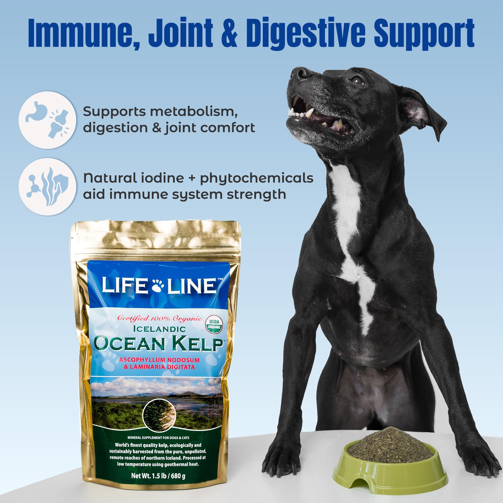 Life Line Organic Ocean Kelp packaging emphasizes sustainable harvest from pristine Icelandic waters.