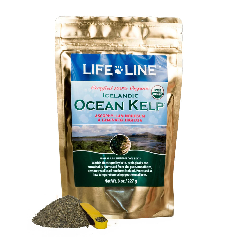 Life Line Organic Ocean Kelp Powder: frasco con algas para piel sana y pelaje brillante