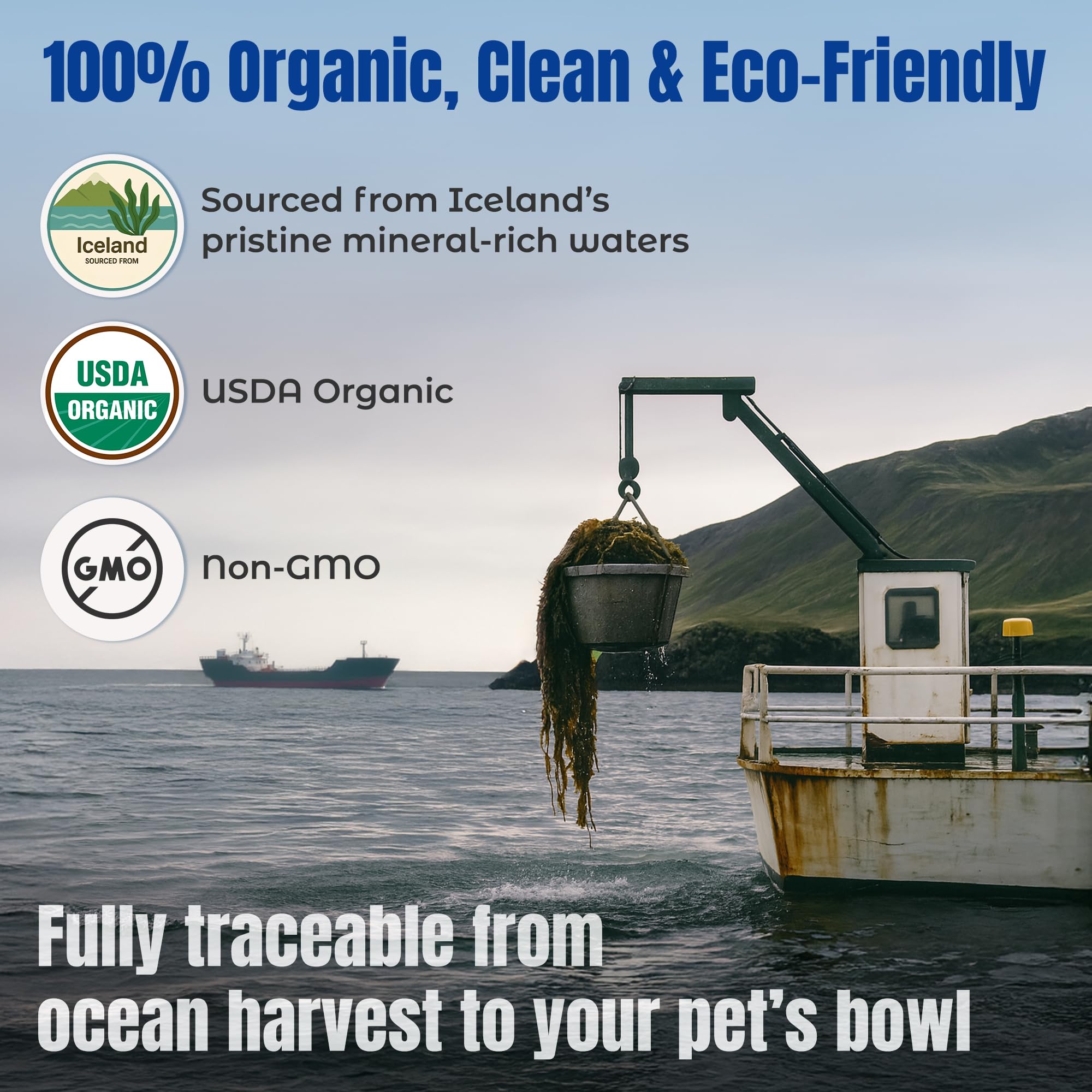 Life Line Organic Ocean Kelp Powder: envase sostenible y control de calidad