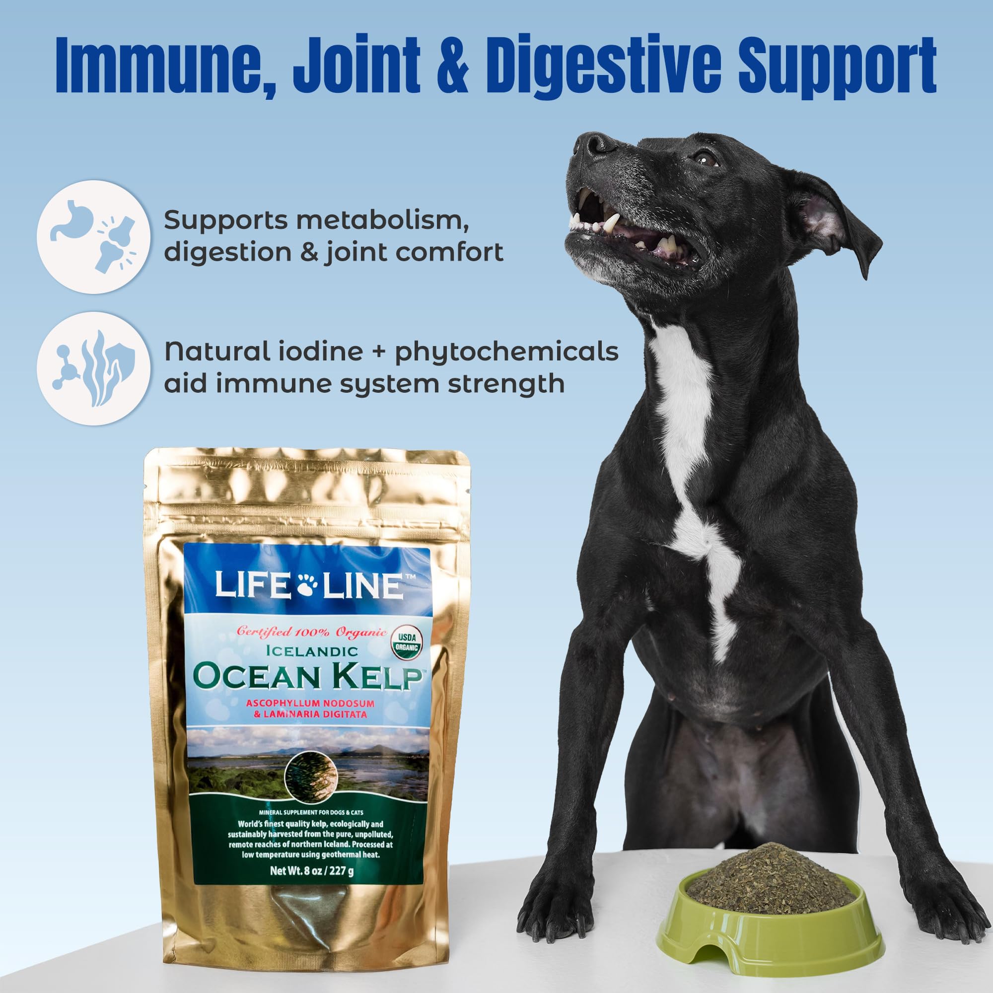 Life Line Organic Ocean Kelp Powder: ingredientes de calidad prístina
