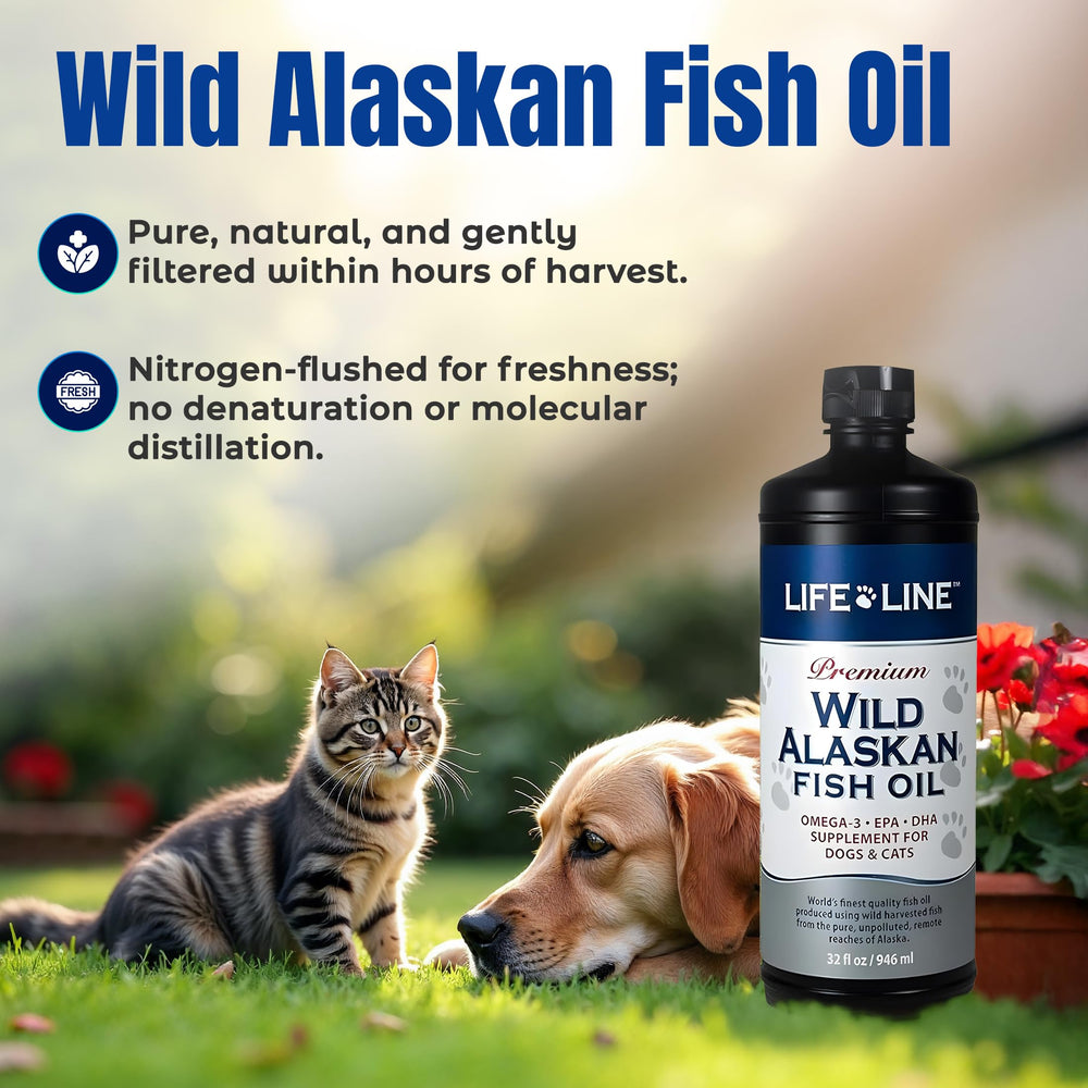 Life Line Pet Nutrition dispensing cap demonstrates mess-free dosing.