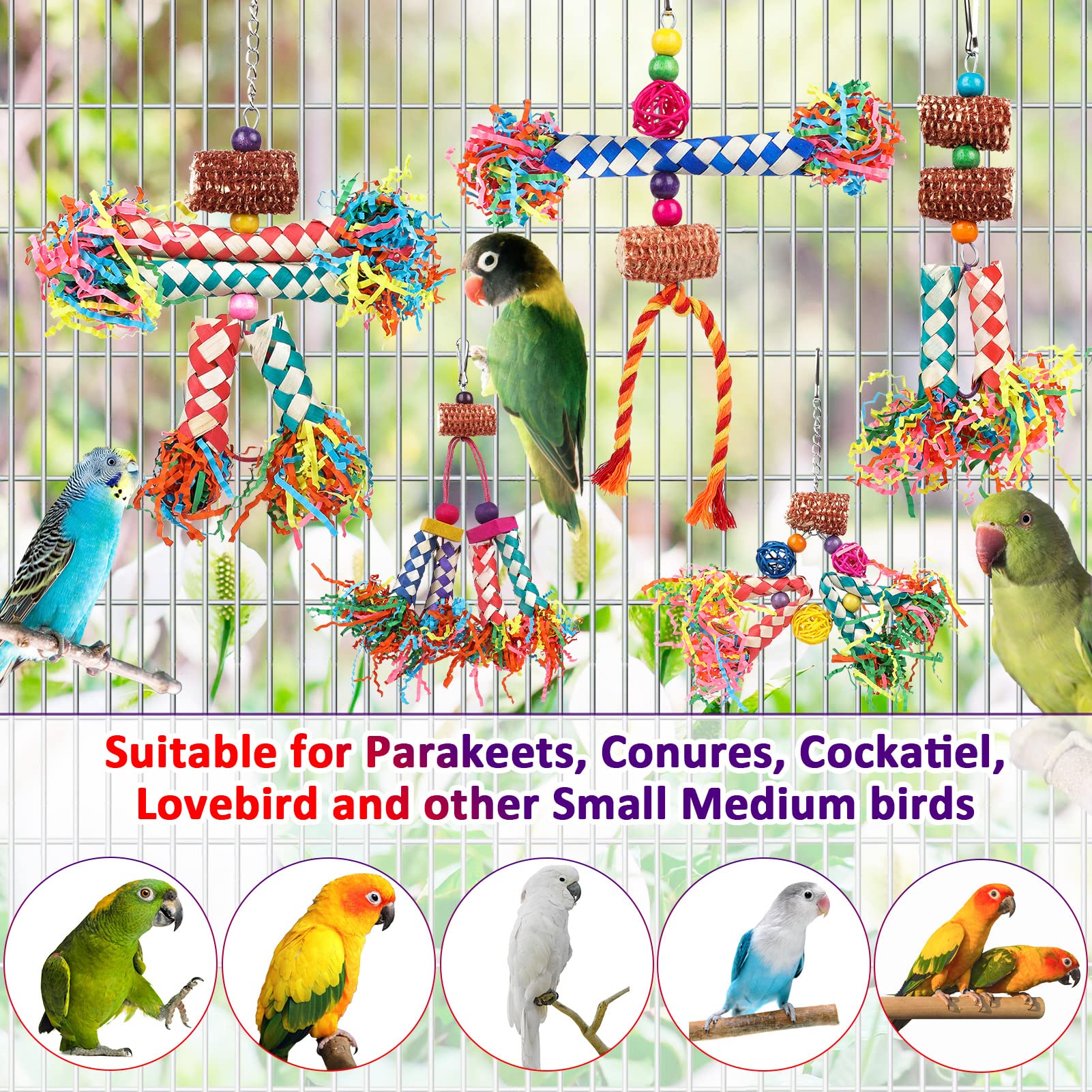 LifeIdeas Chew and play toy encourages healthy beak activity and exercise