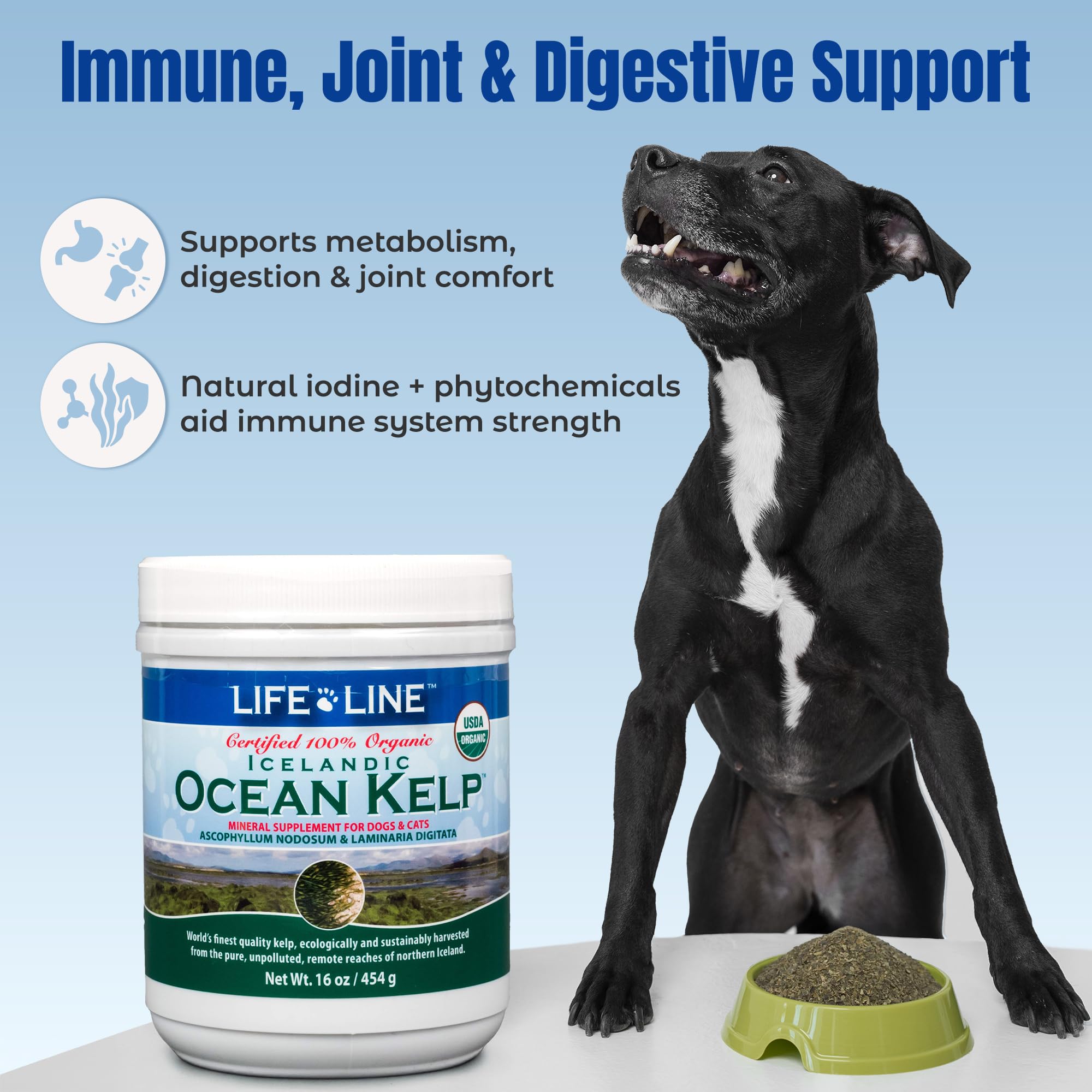 Life Line Organic Ocean Kelp USDA-certified product safety seal for peace of mind