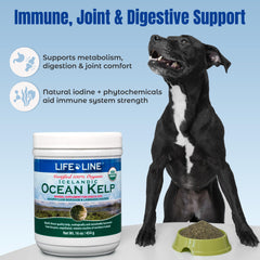 Life Line Organic Ocean Kelp USDA-certified product safety seal for peace of mind
